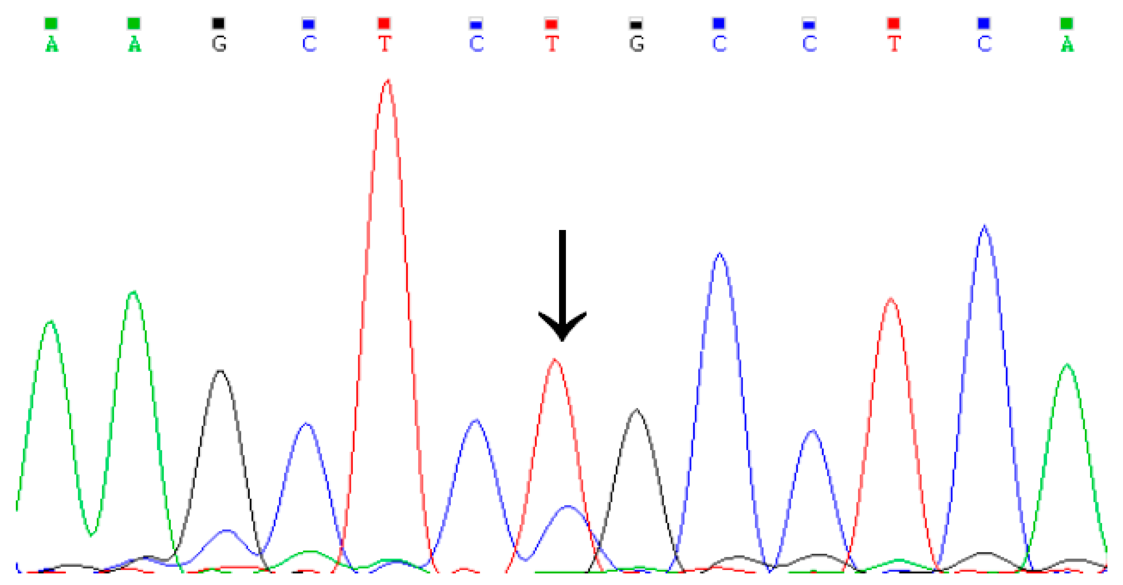 Animals 09 00273 g001