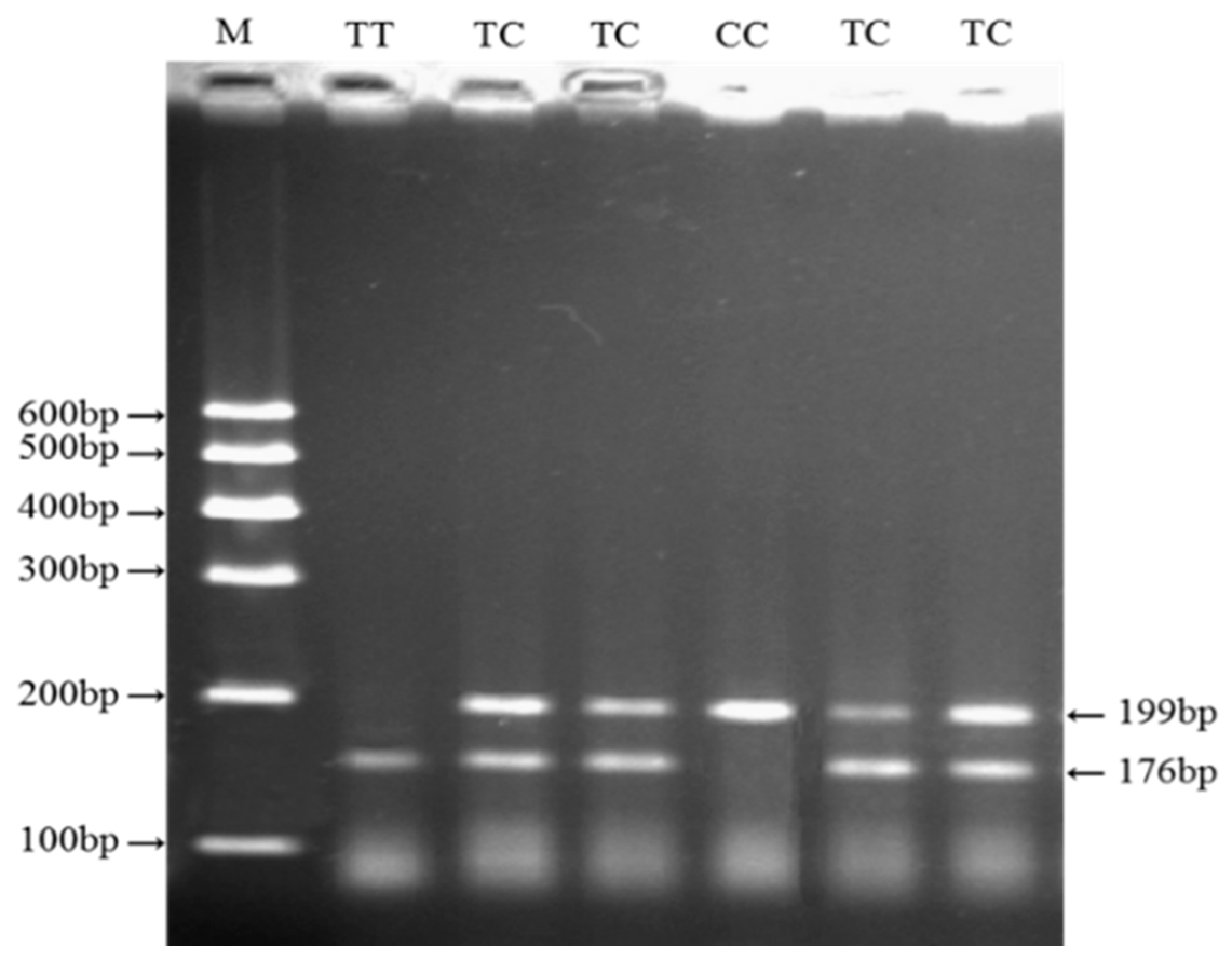 Animals 09 00273 g002