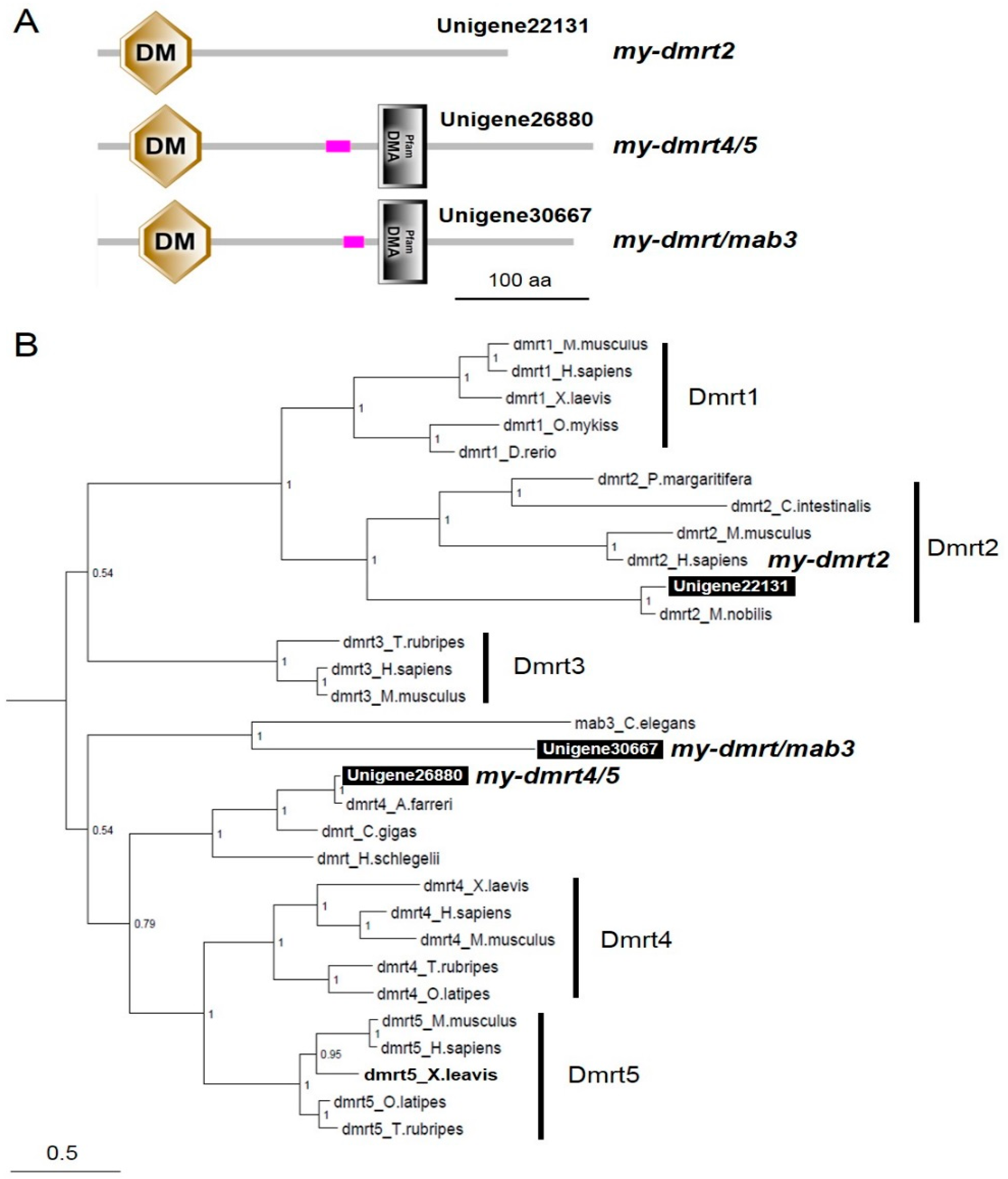 Animals 09 00277 g003