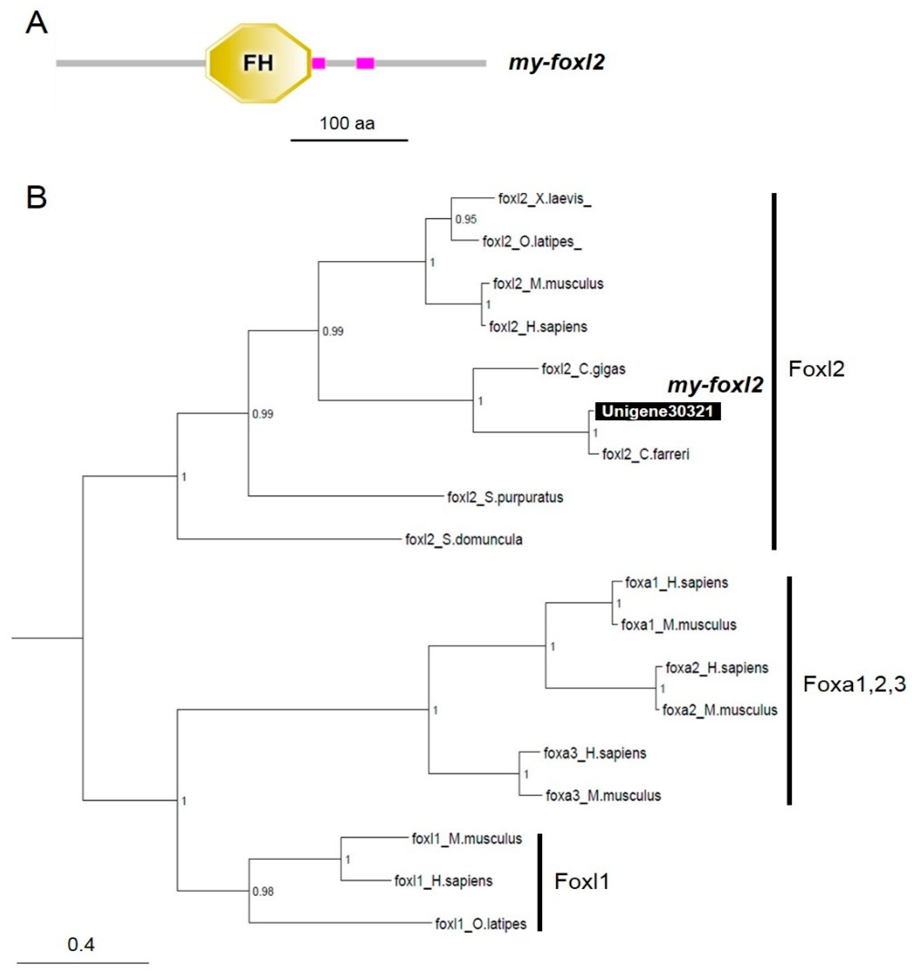 Animals 09 00277 g004