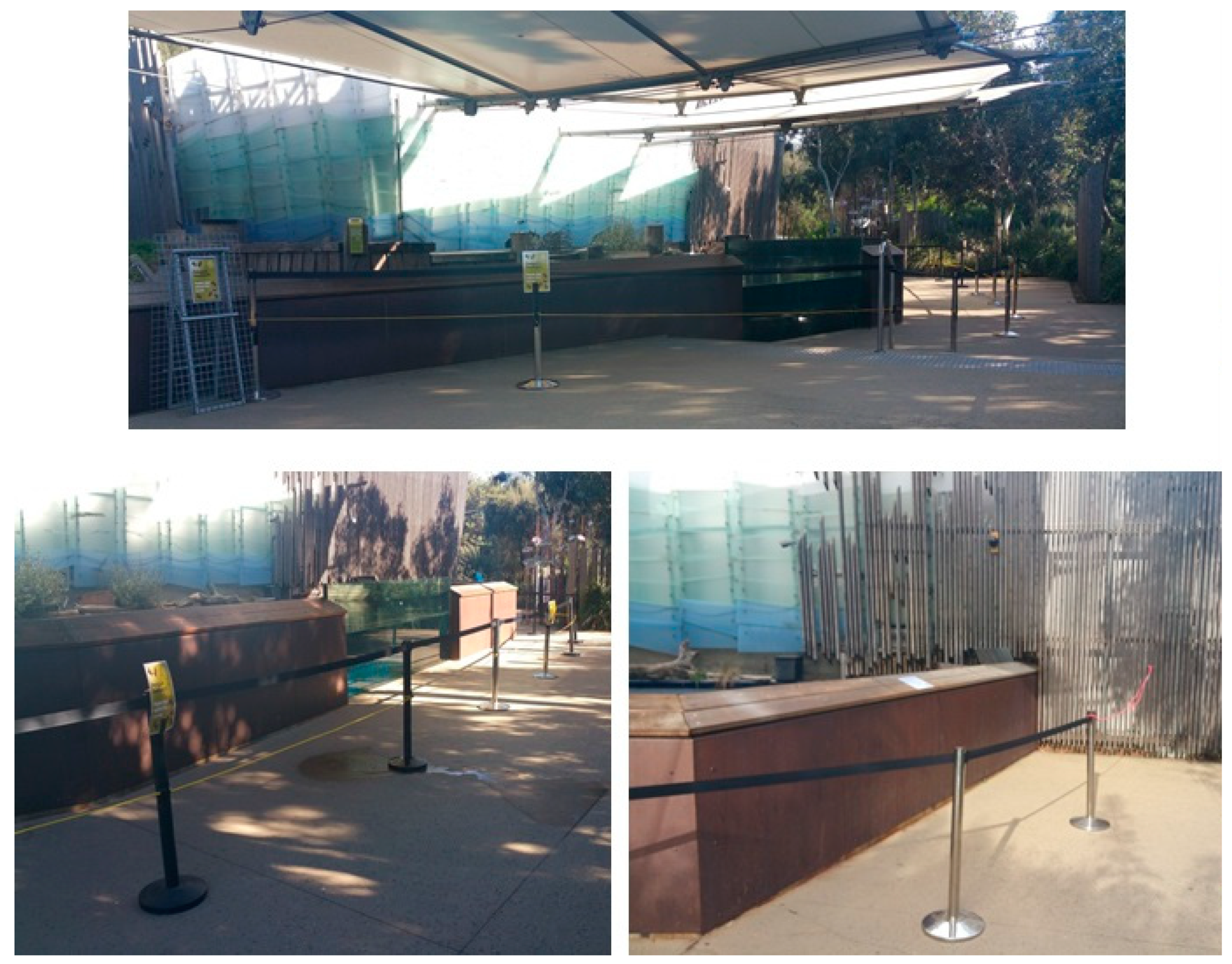 Animals 09 00285 g002 Animals 09 00285 g002