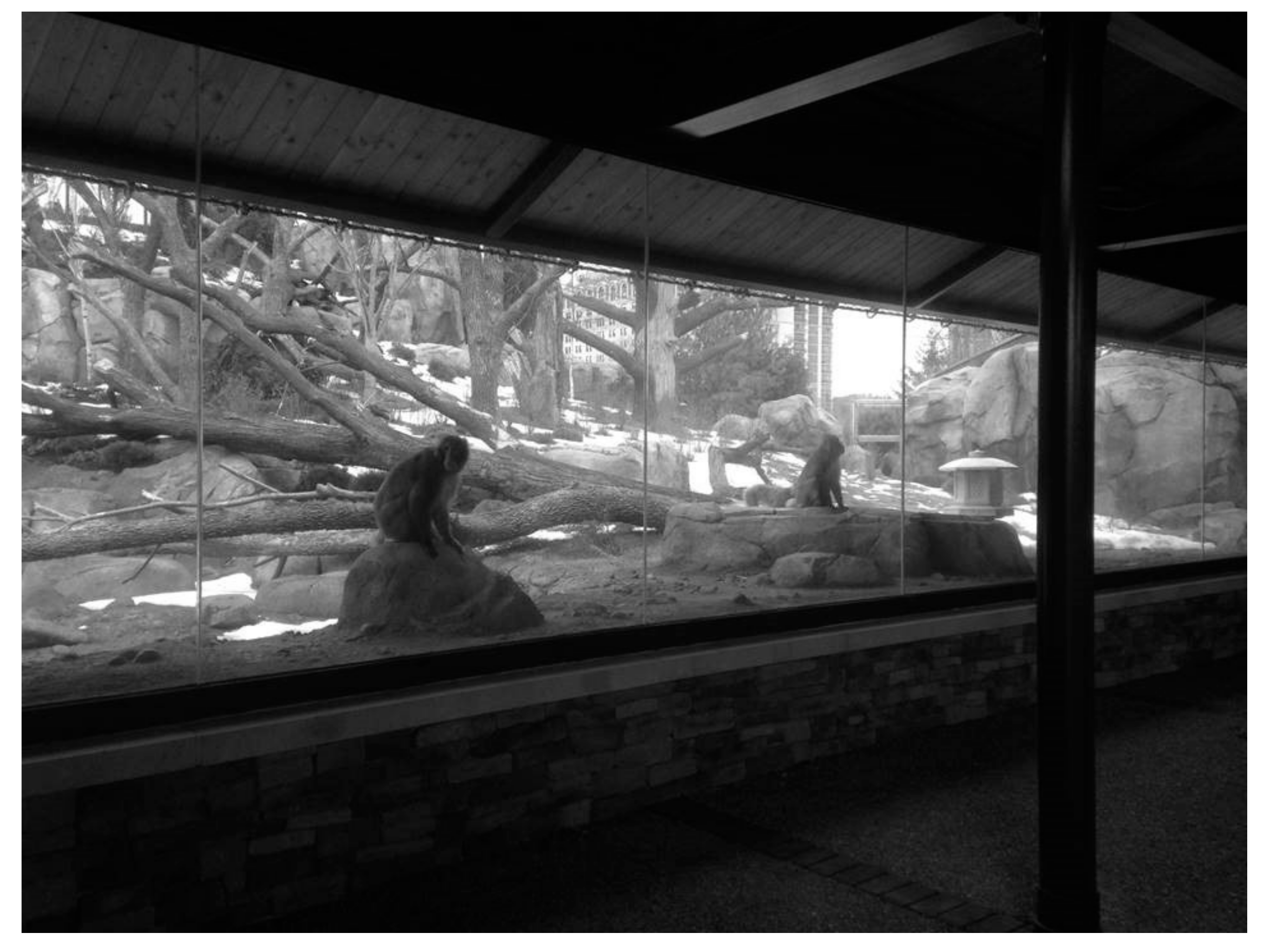 Animals 09 00316 g002