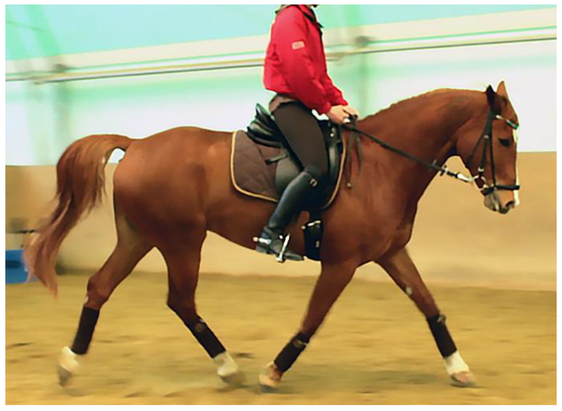 Animals 09 00321 g002