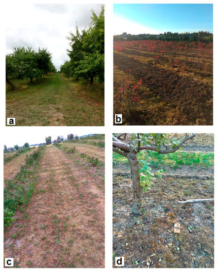 Animals 09 00334 g0a1