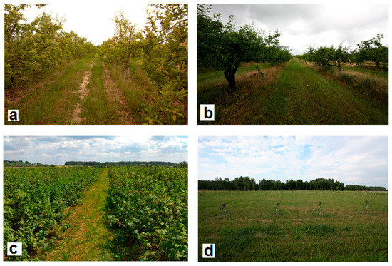 Animals 09 00334 g0a2