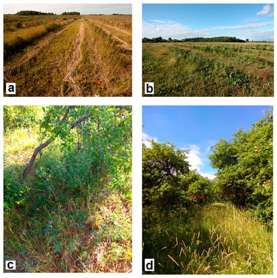 Animals 09 00334 g0a3