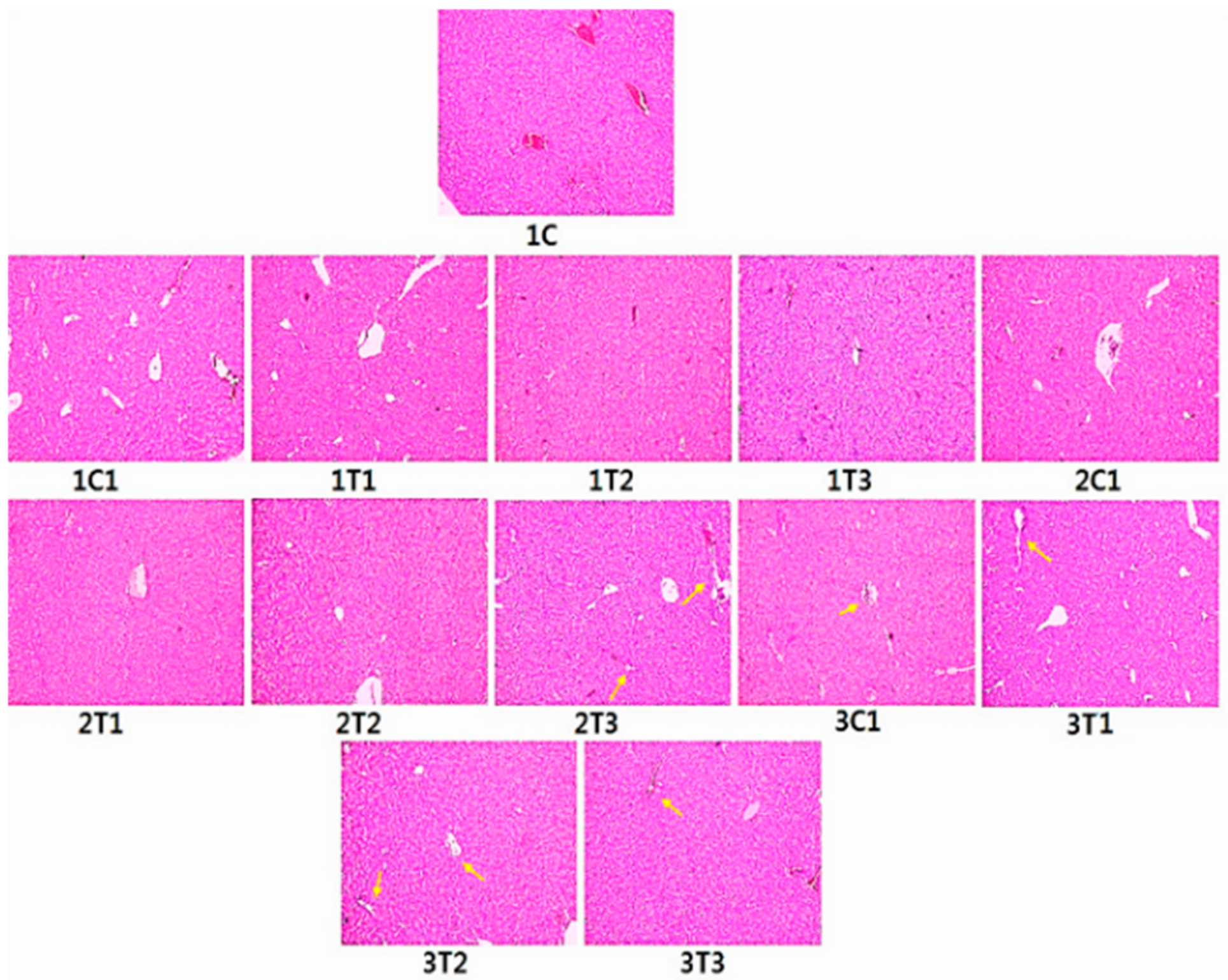 Animals 09 00357 g008