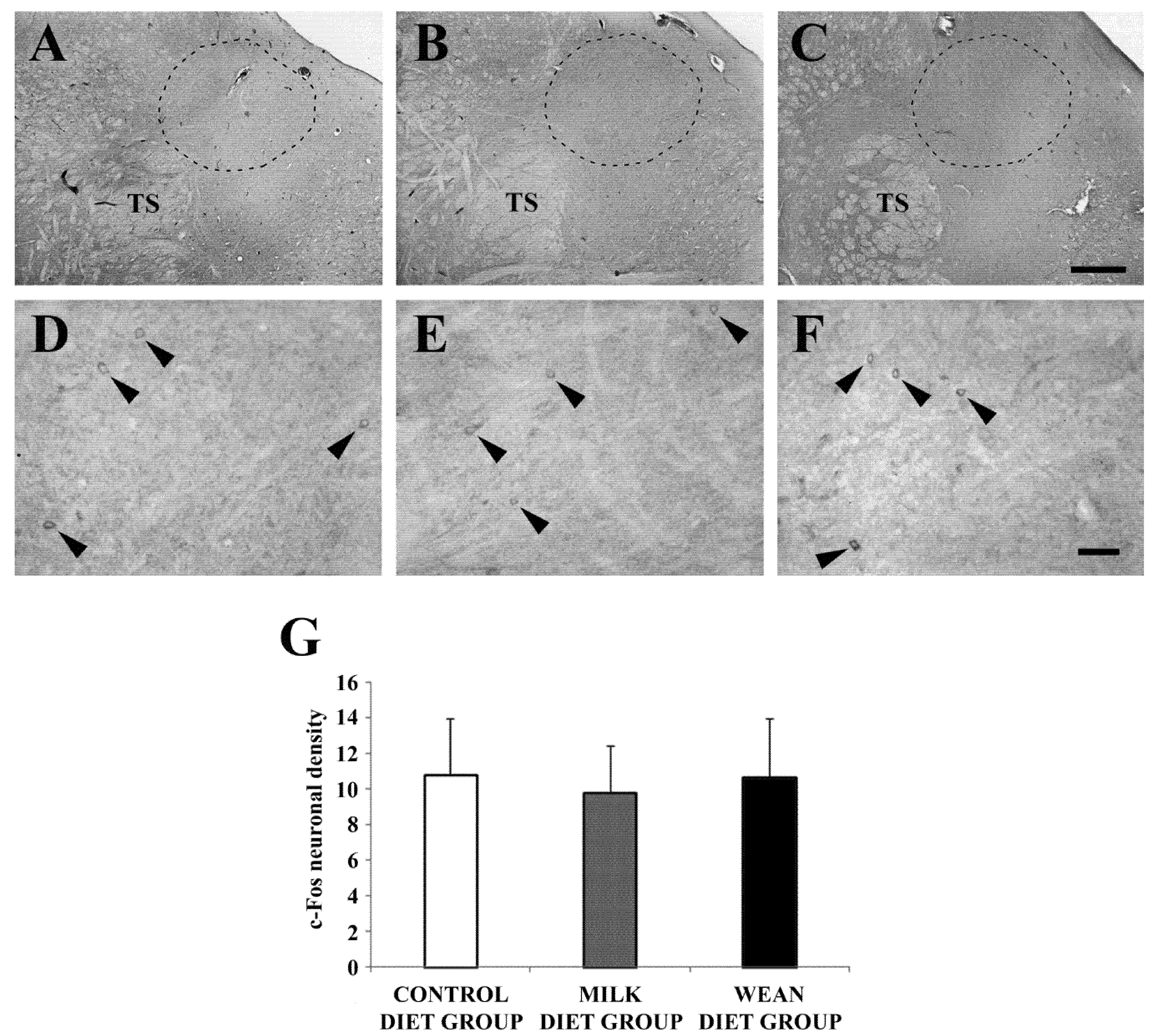 Animals 09 00358 g005