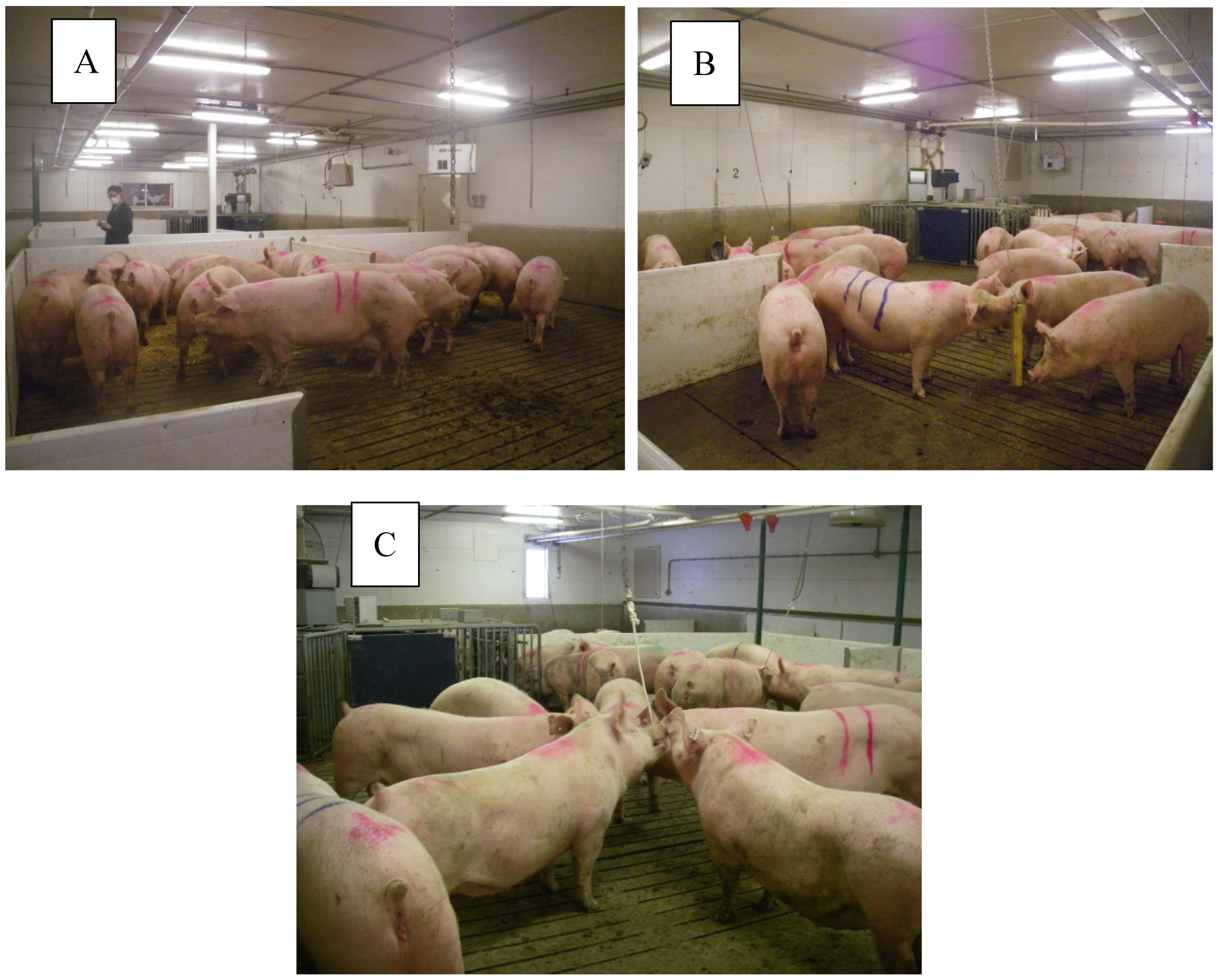 Animals 09 00369 g002