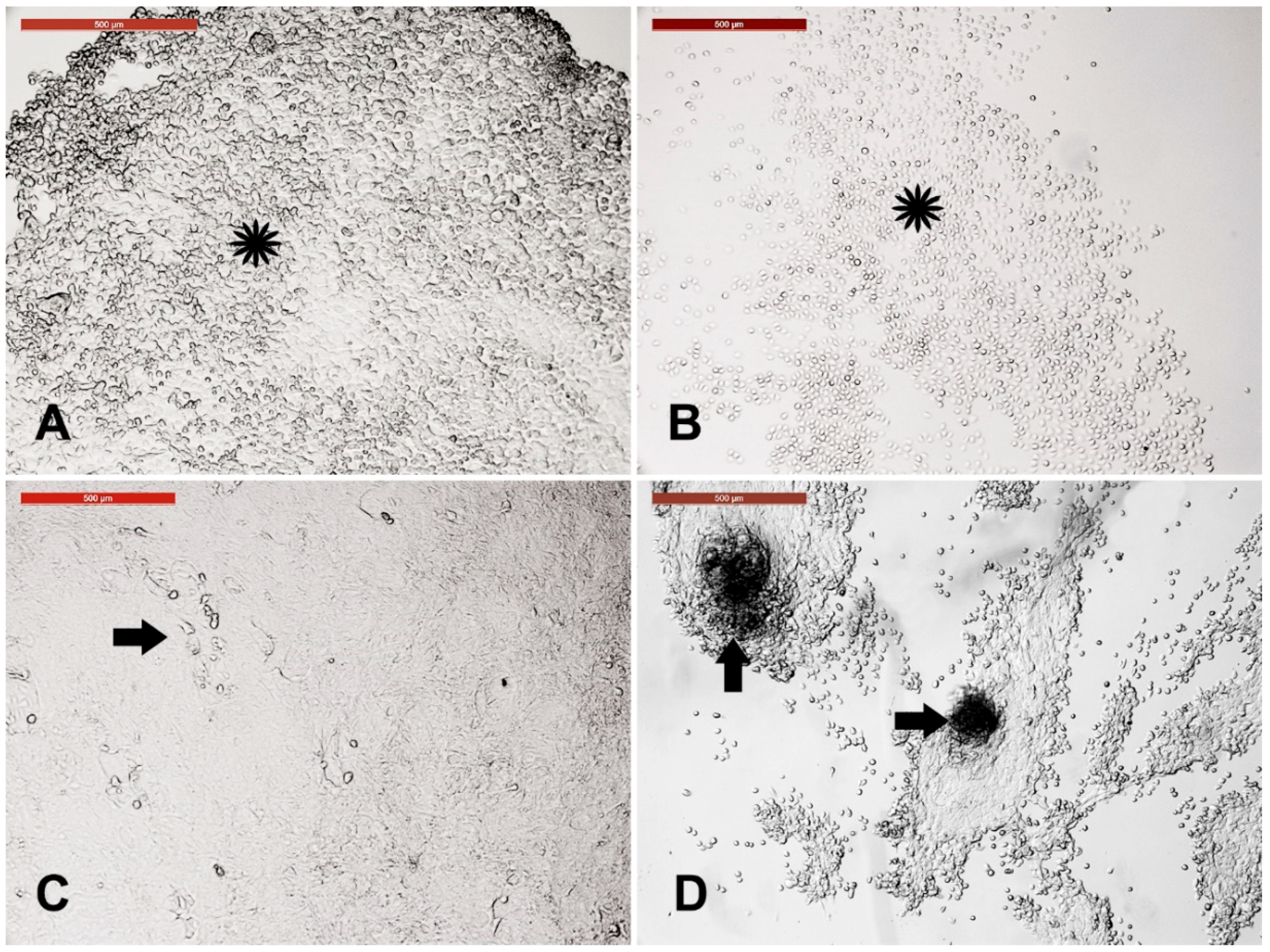 Animals 09 00378 g003 Animals 09 00378 g003