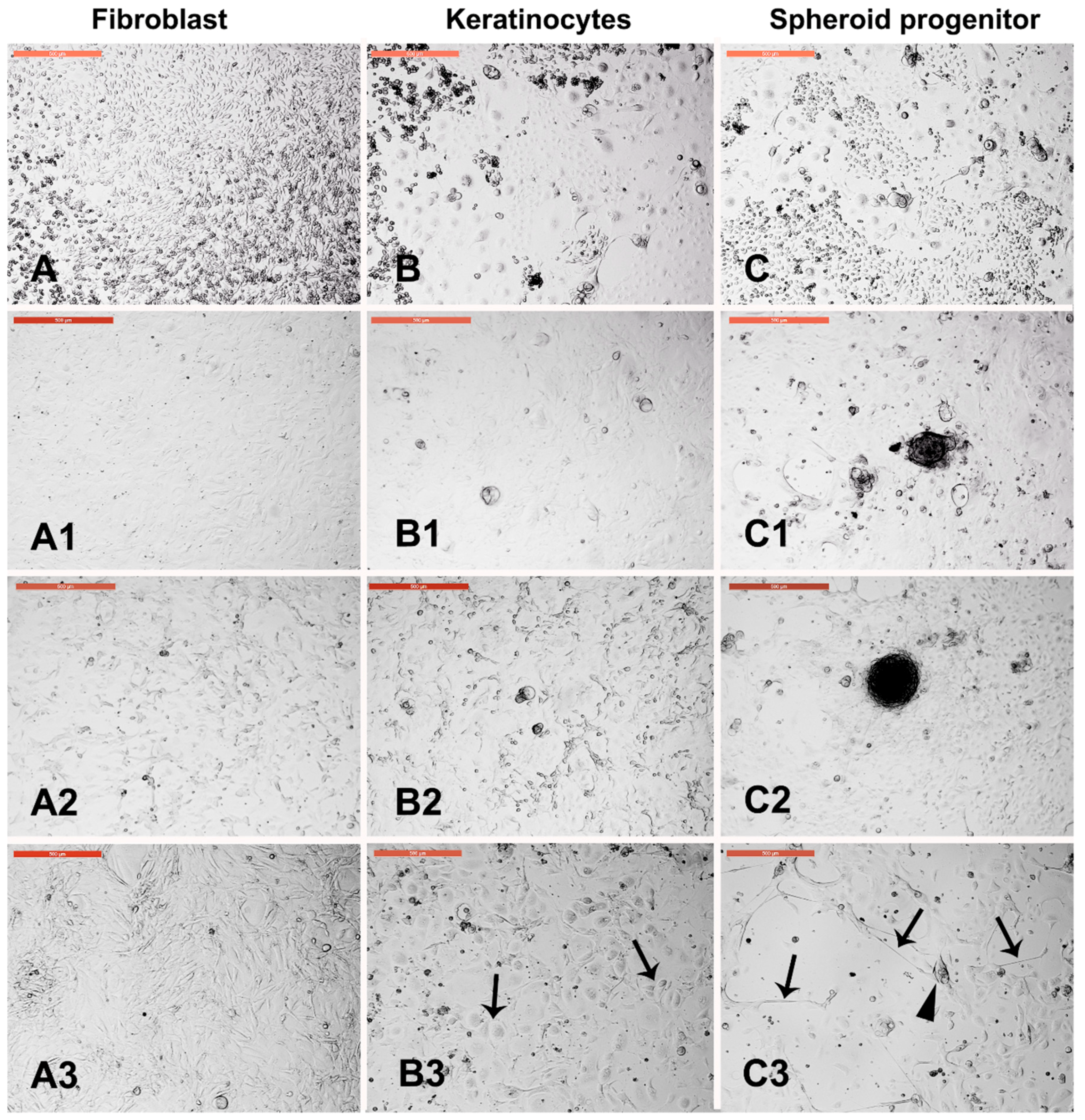 Animals 09 00378 g004 Animals 09 00378 g004