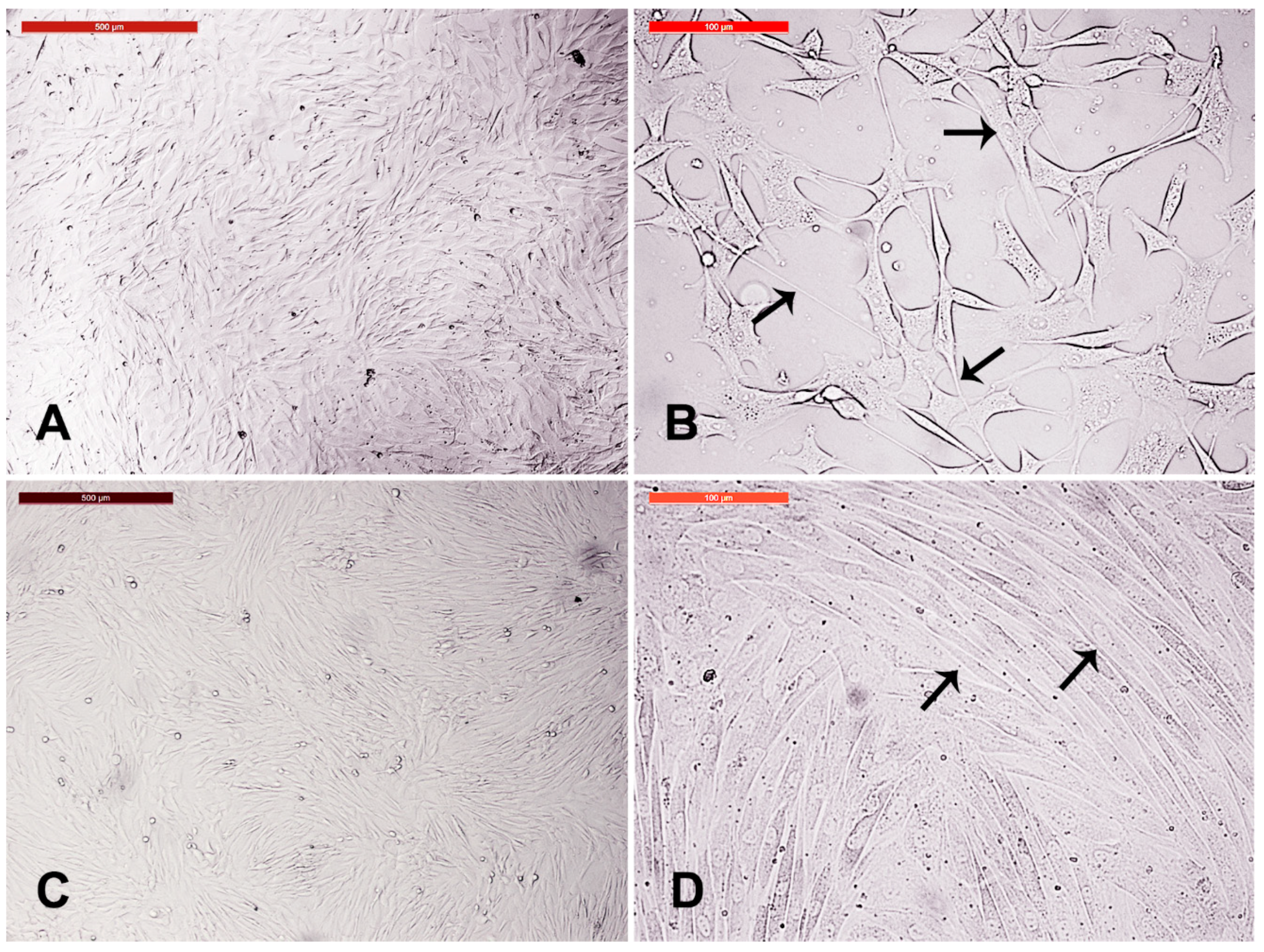 Animals 09 00378 g005 Animals 09 00378 g005