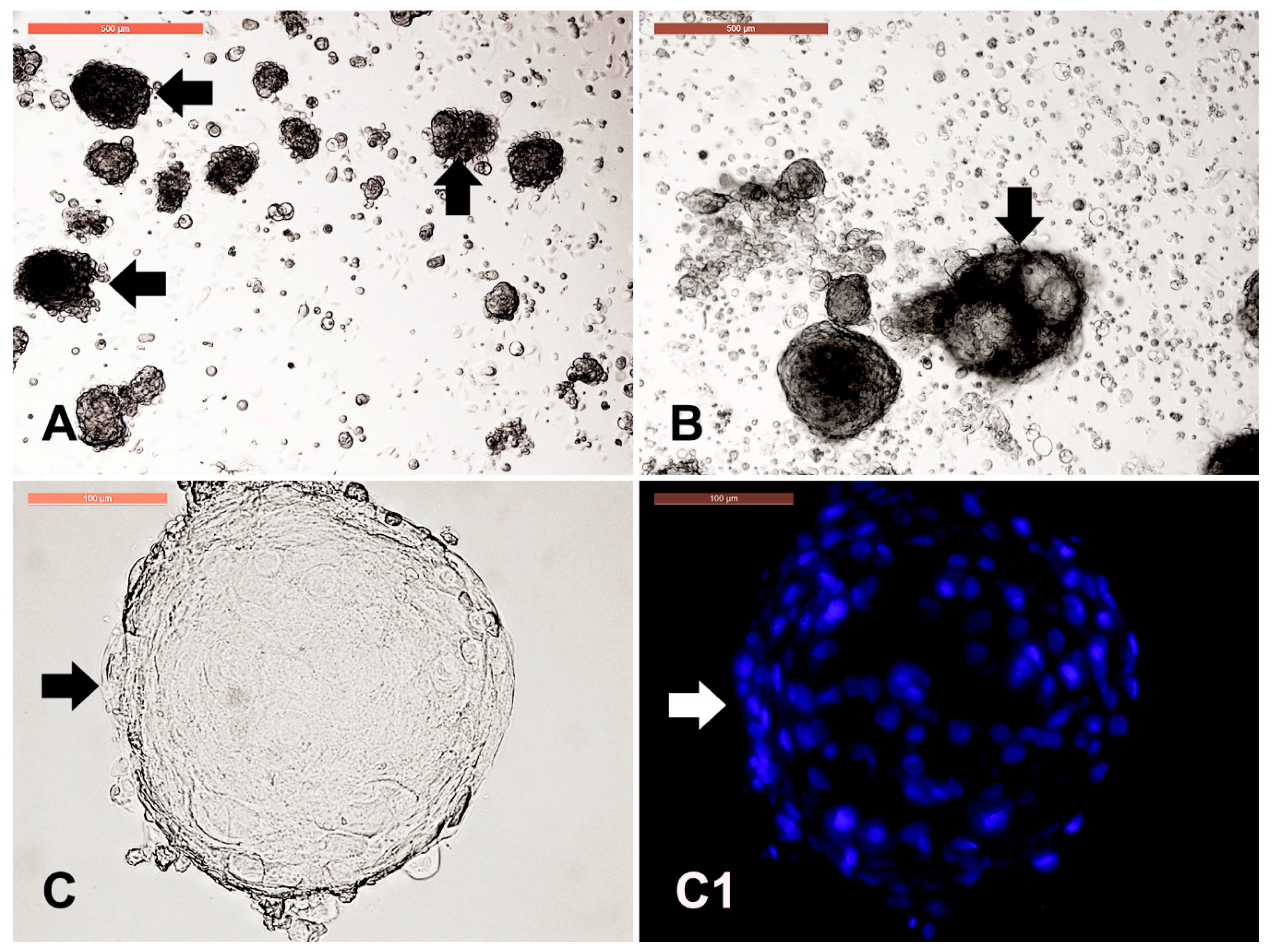 Animals 09 00378 g007 Animals 09 00378 g007