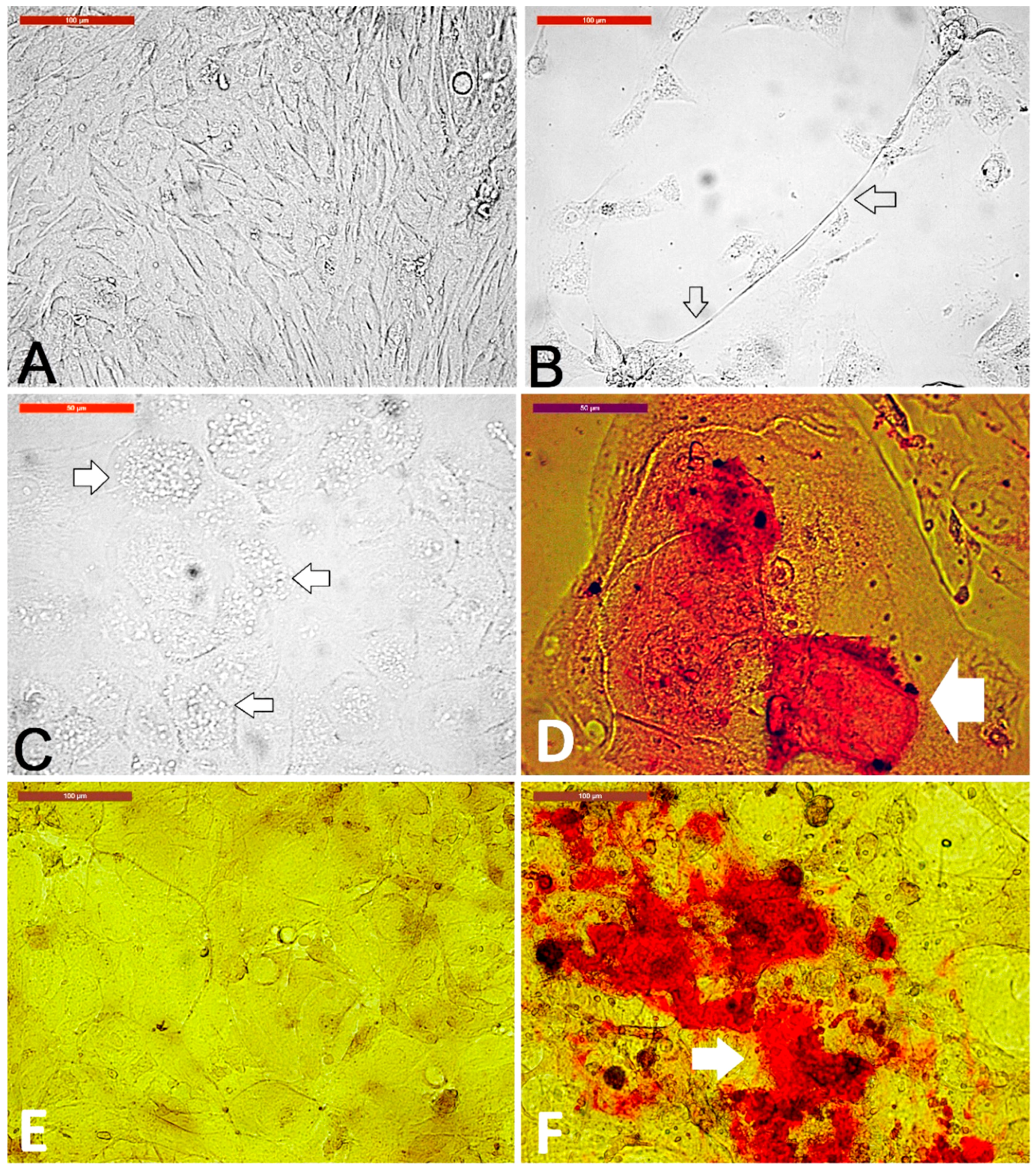 Animals 09 00378 g008 Animals 09 00378 g008