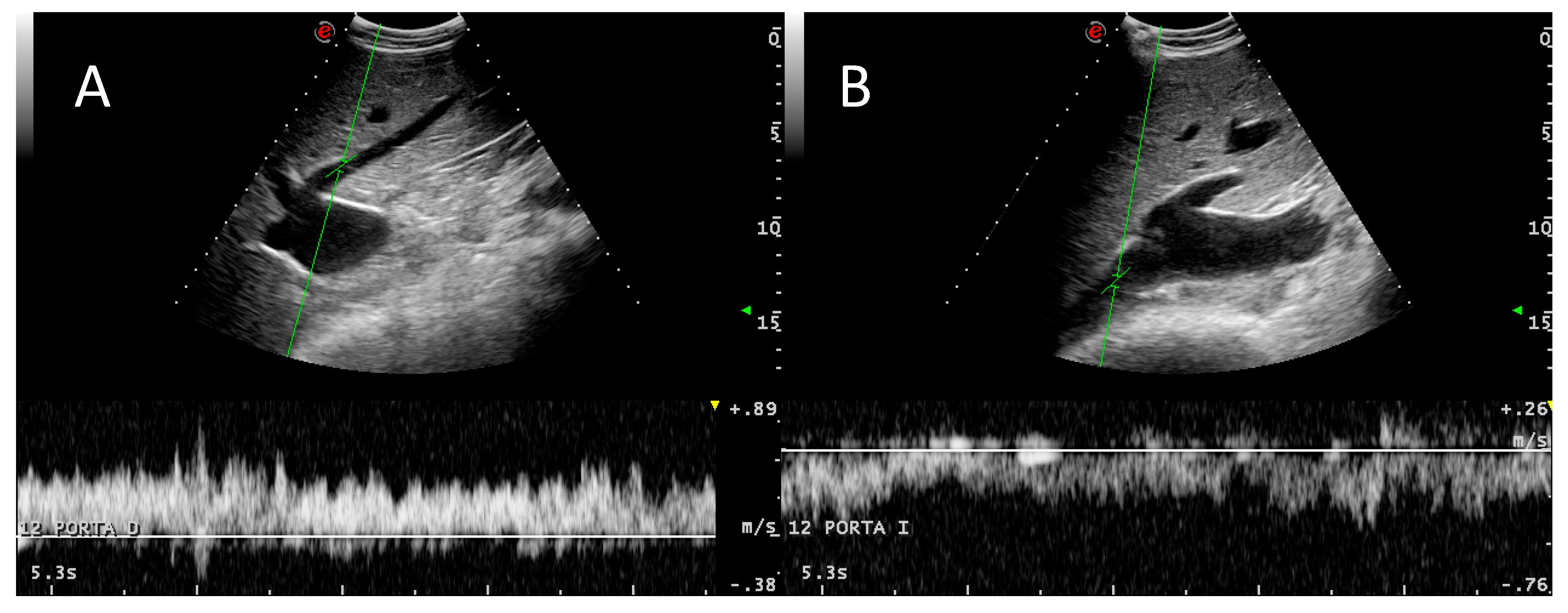 Animals 09 00386 g004