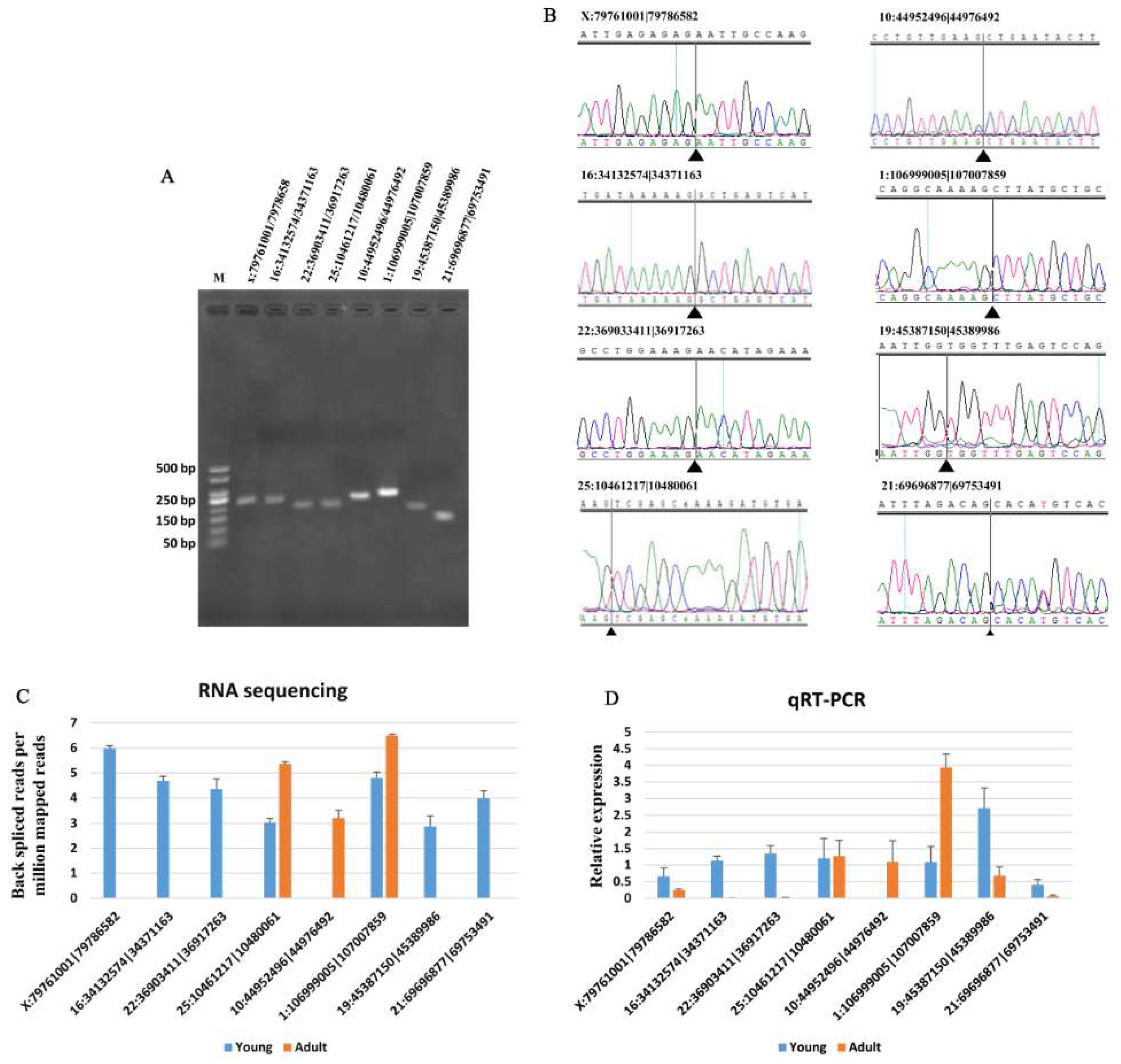 Animals 09 00403 g002