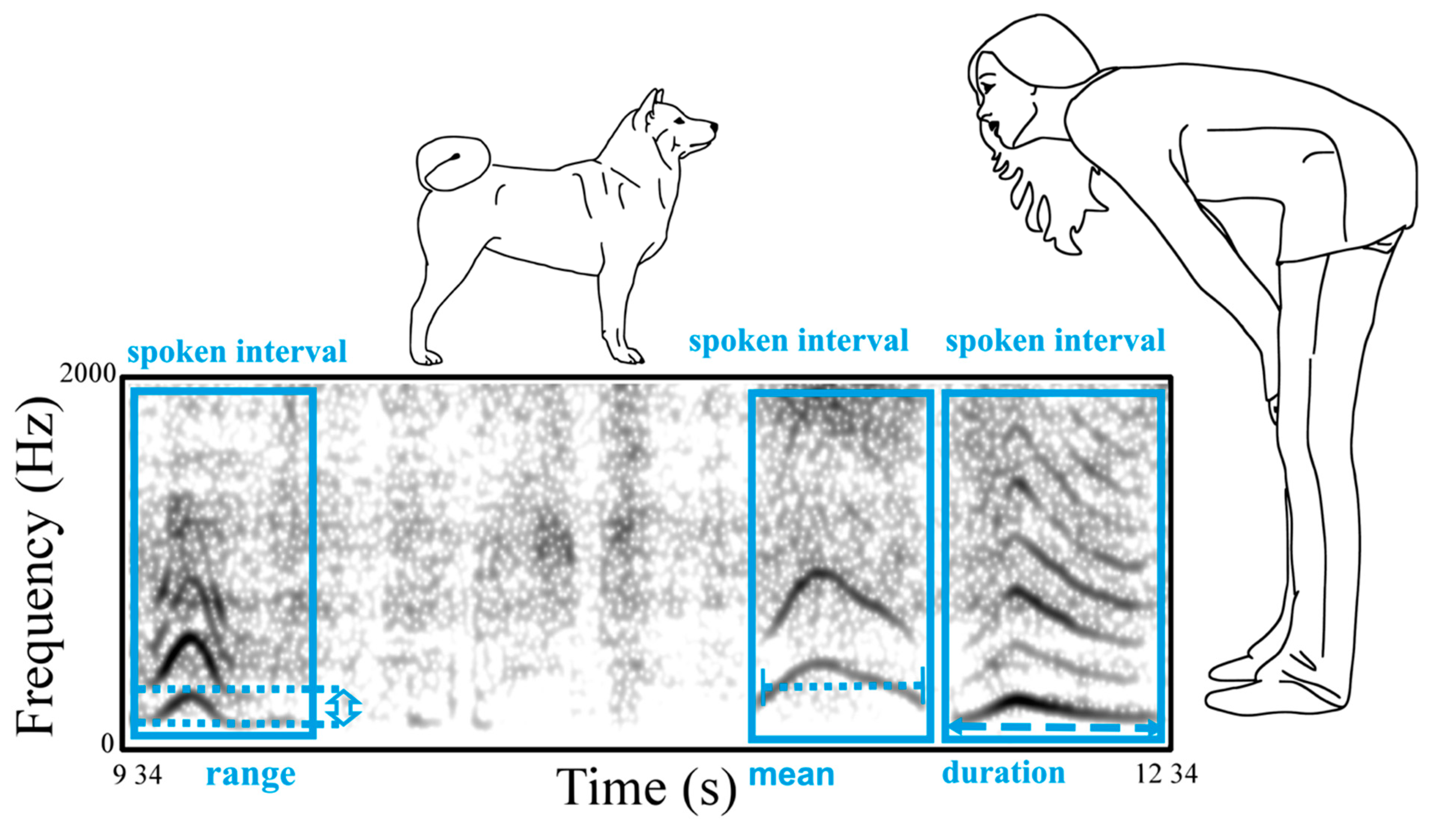 Animals 09 00417 g002