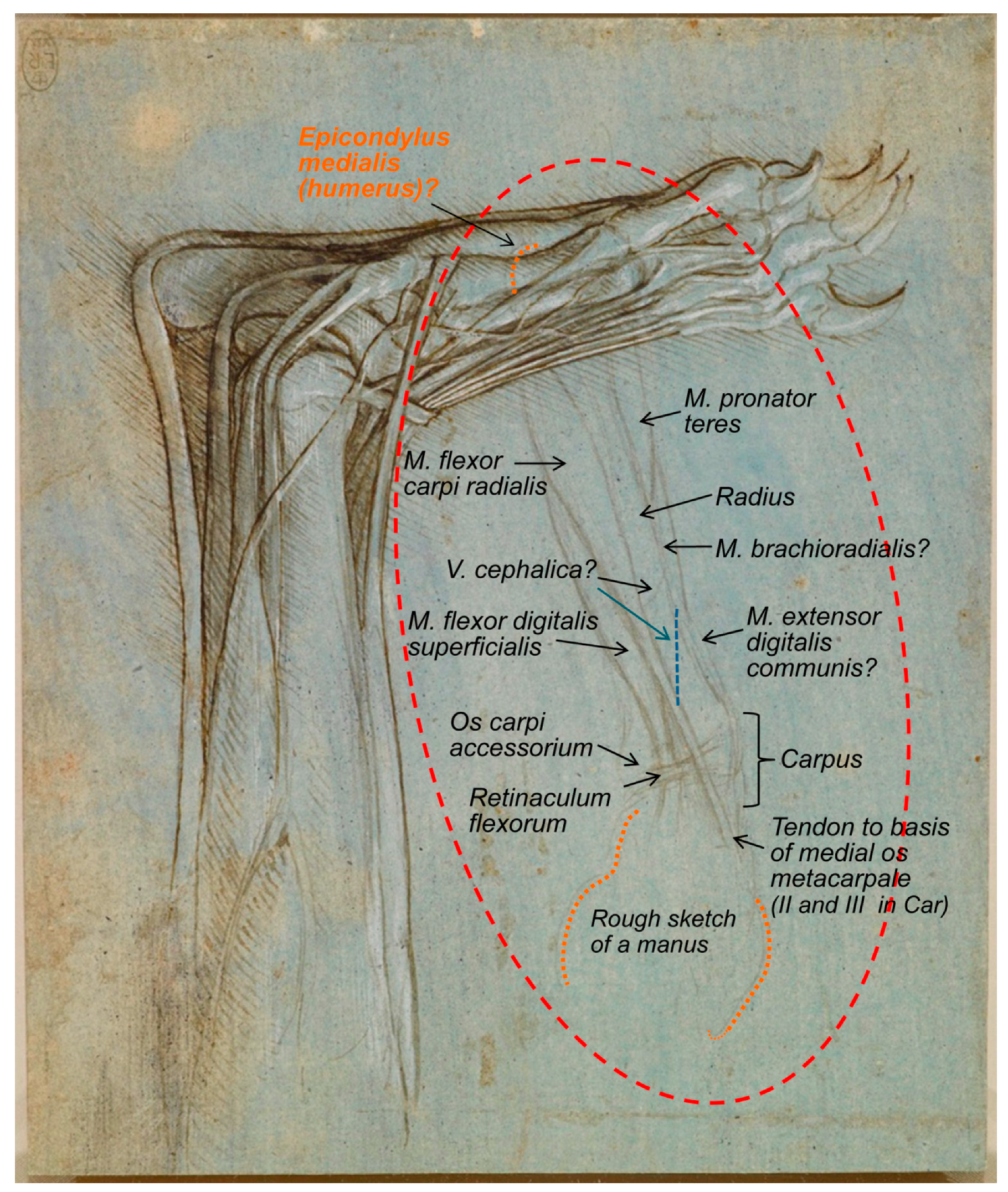 Animals 09 00435 g002