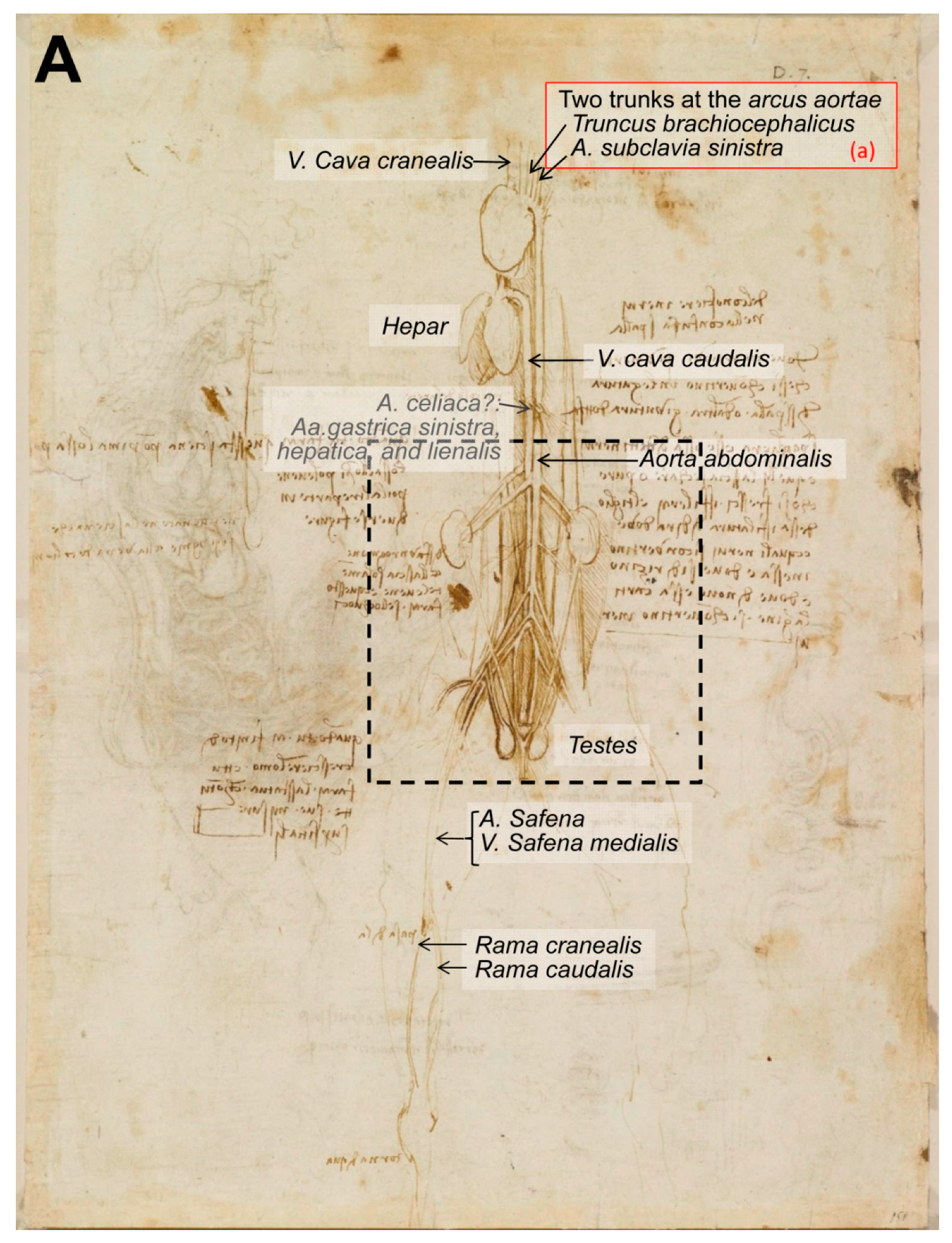 Animals 09 00435 g006a