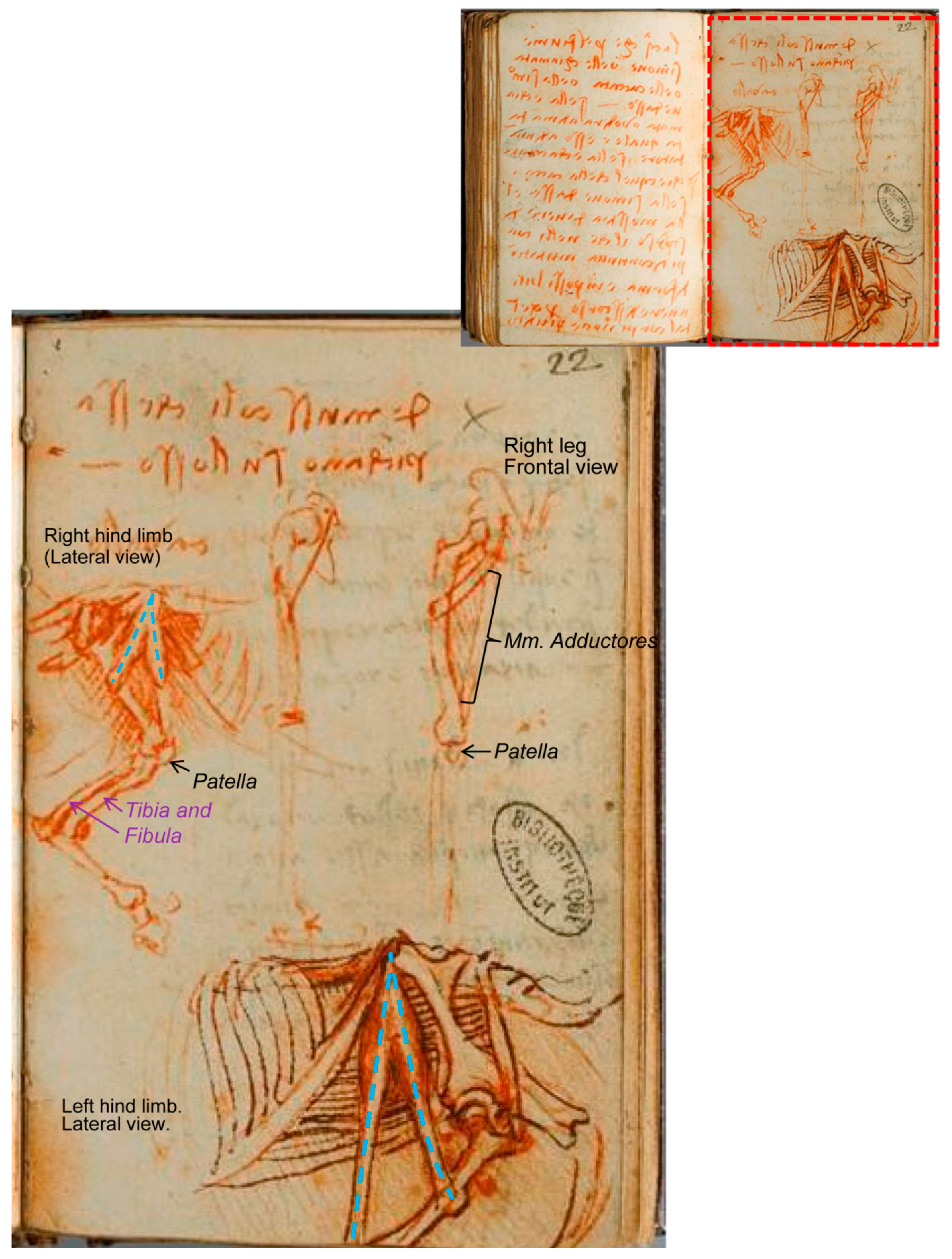 Animals 09 00435 g008