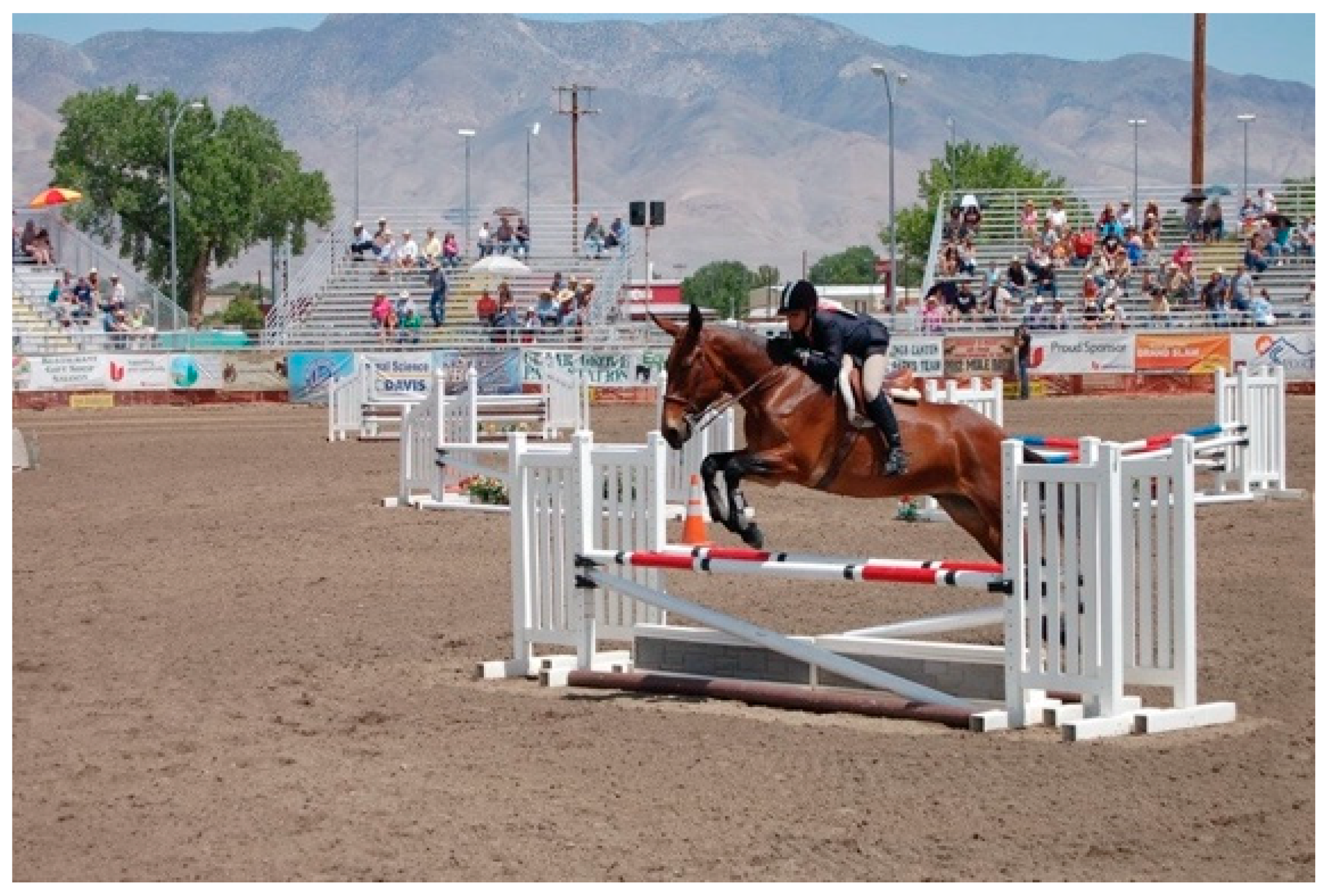 Animals 09 00488 g001