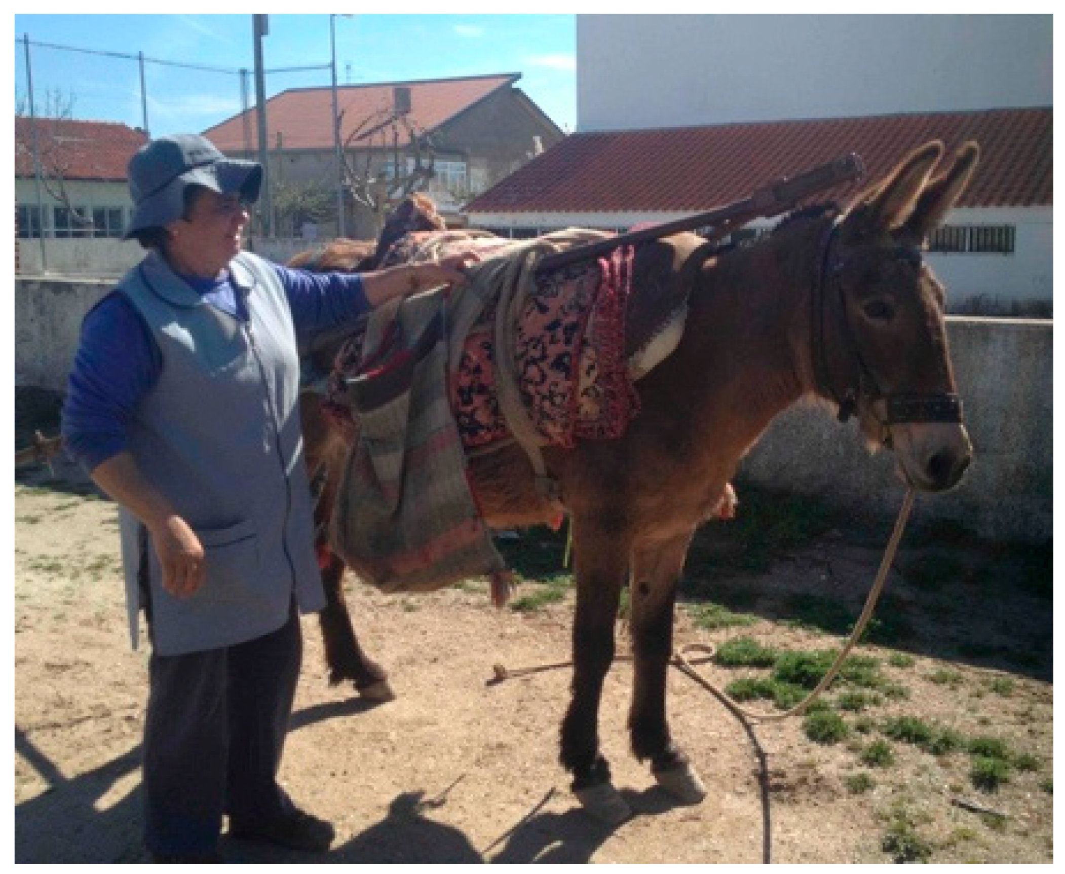 Animals 09 00488 g004