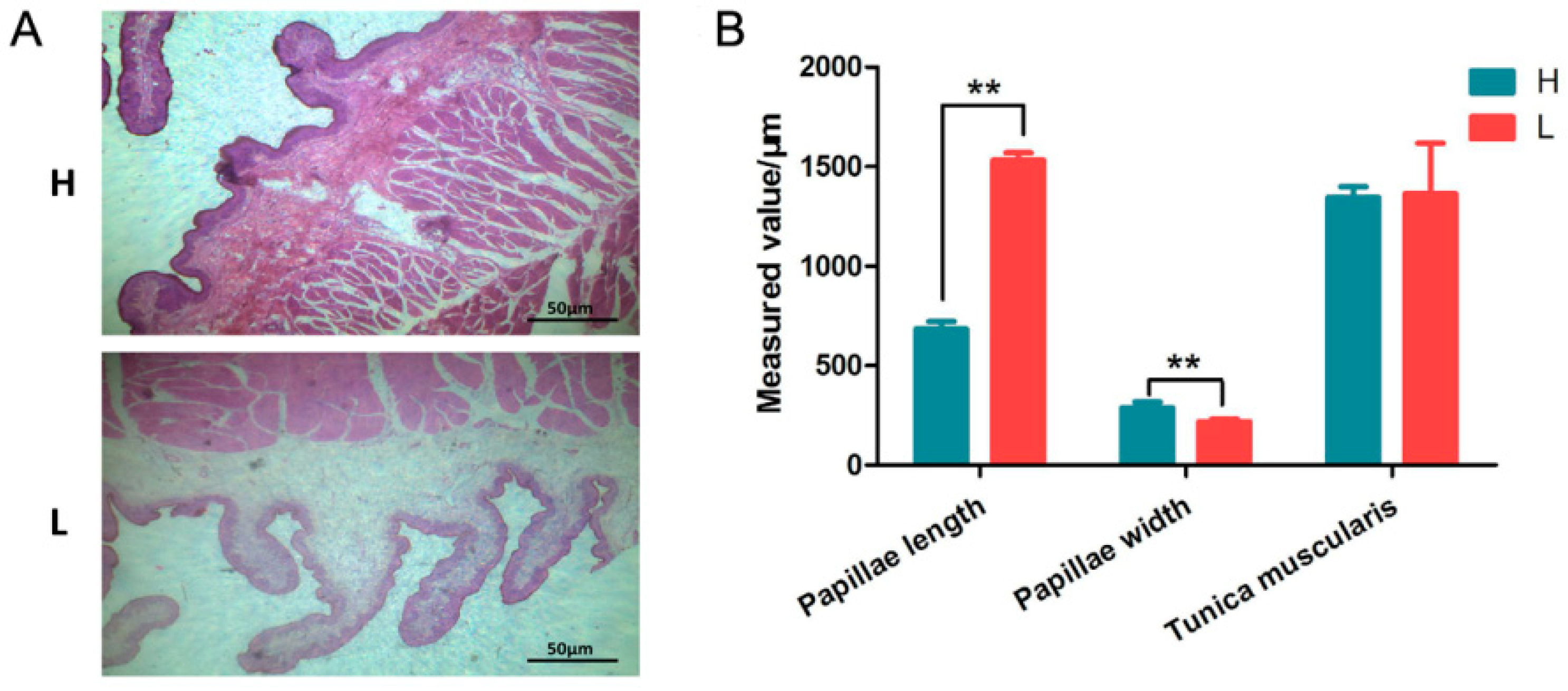Animals 09 00496 g001