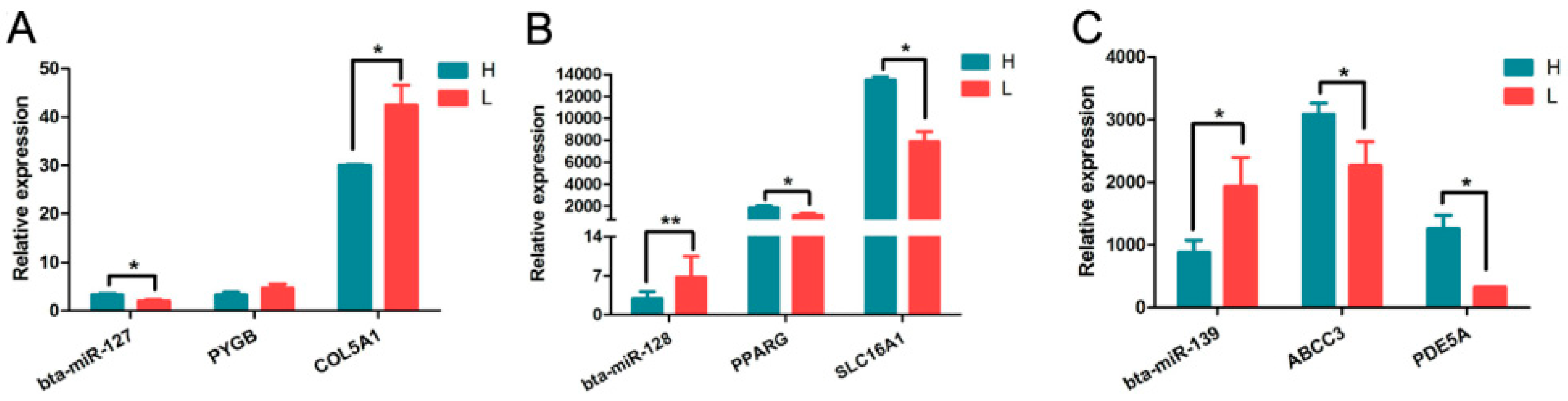 Animals 09 00496 g004