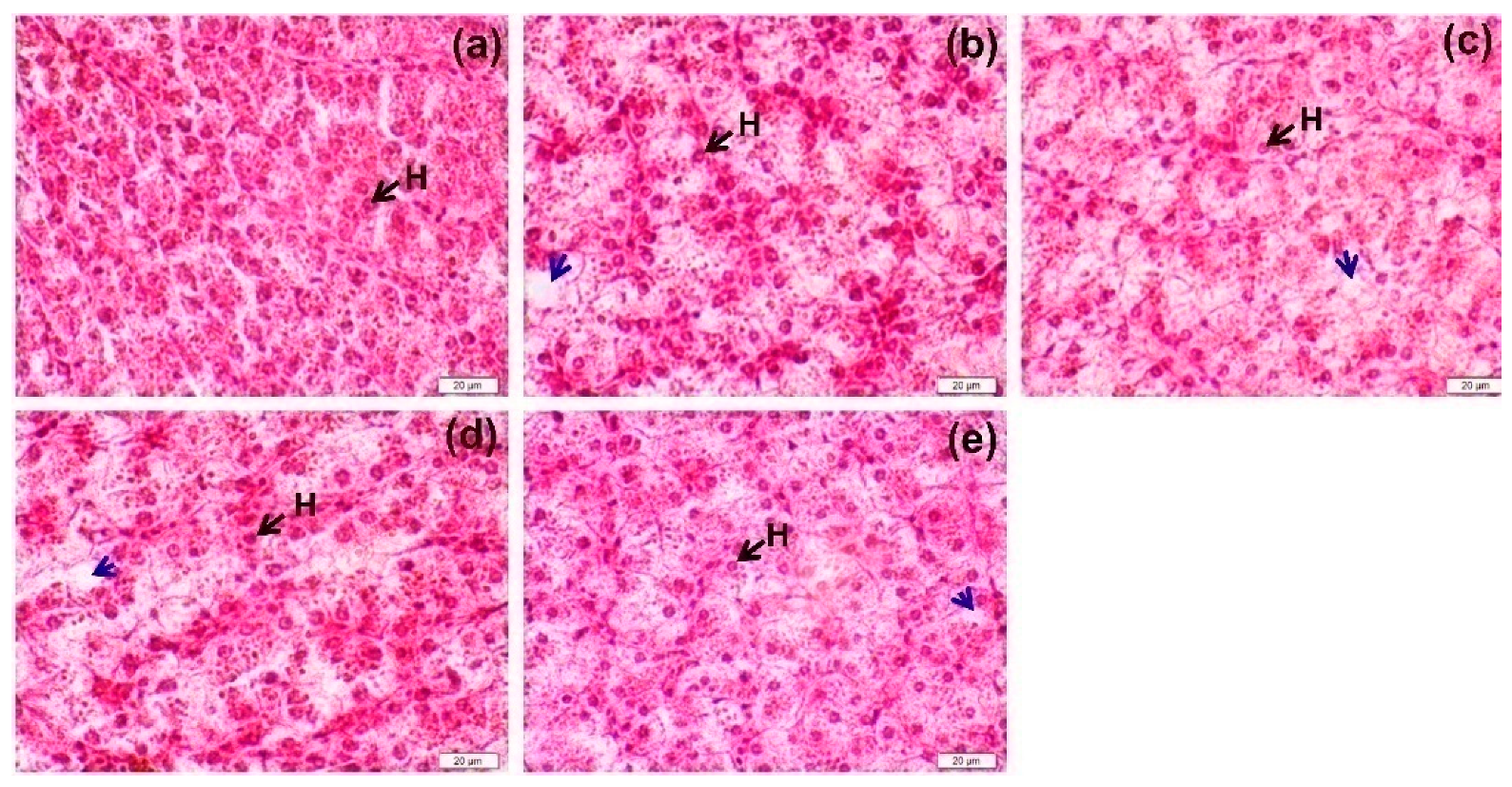 Animals 09 00521 g001 Animals 09 00521 g001