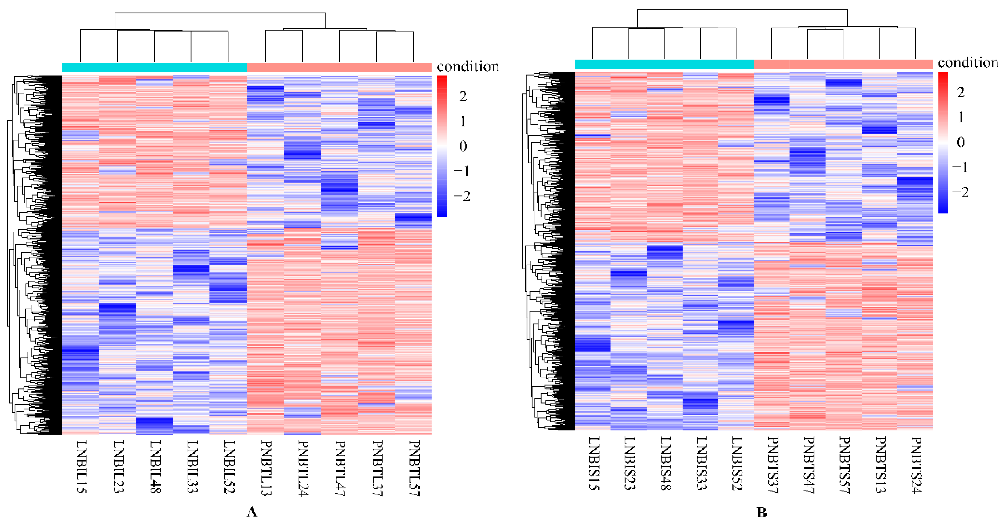 Animals 09 00527 g002