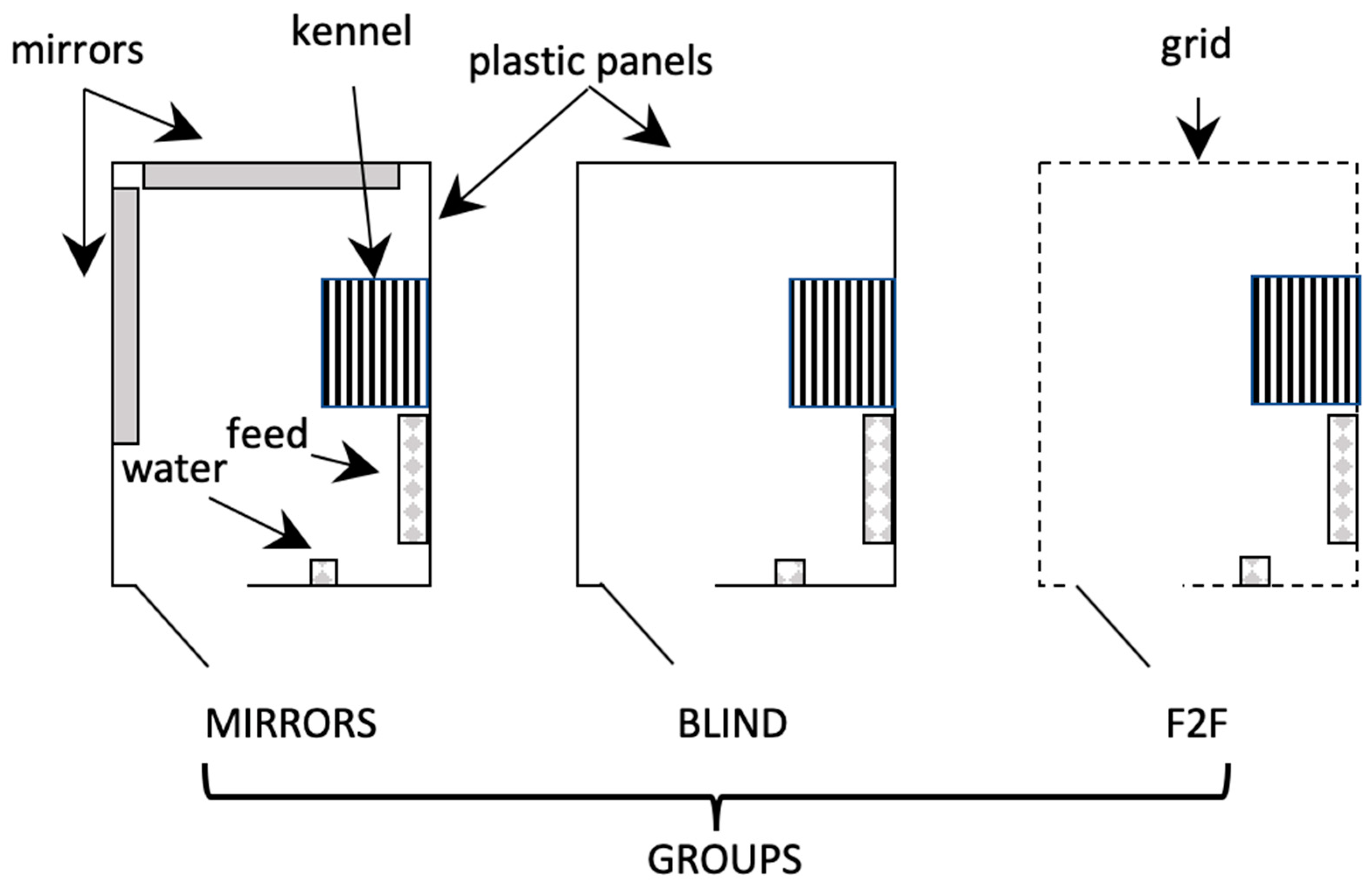 Animals 09 00533 g001