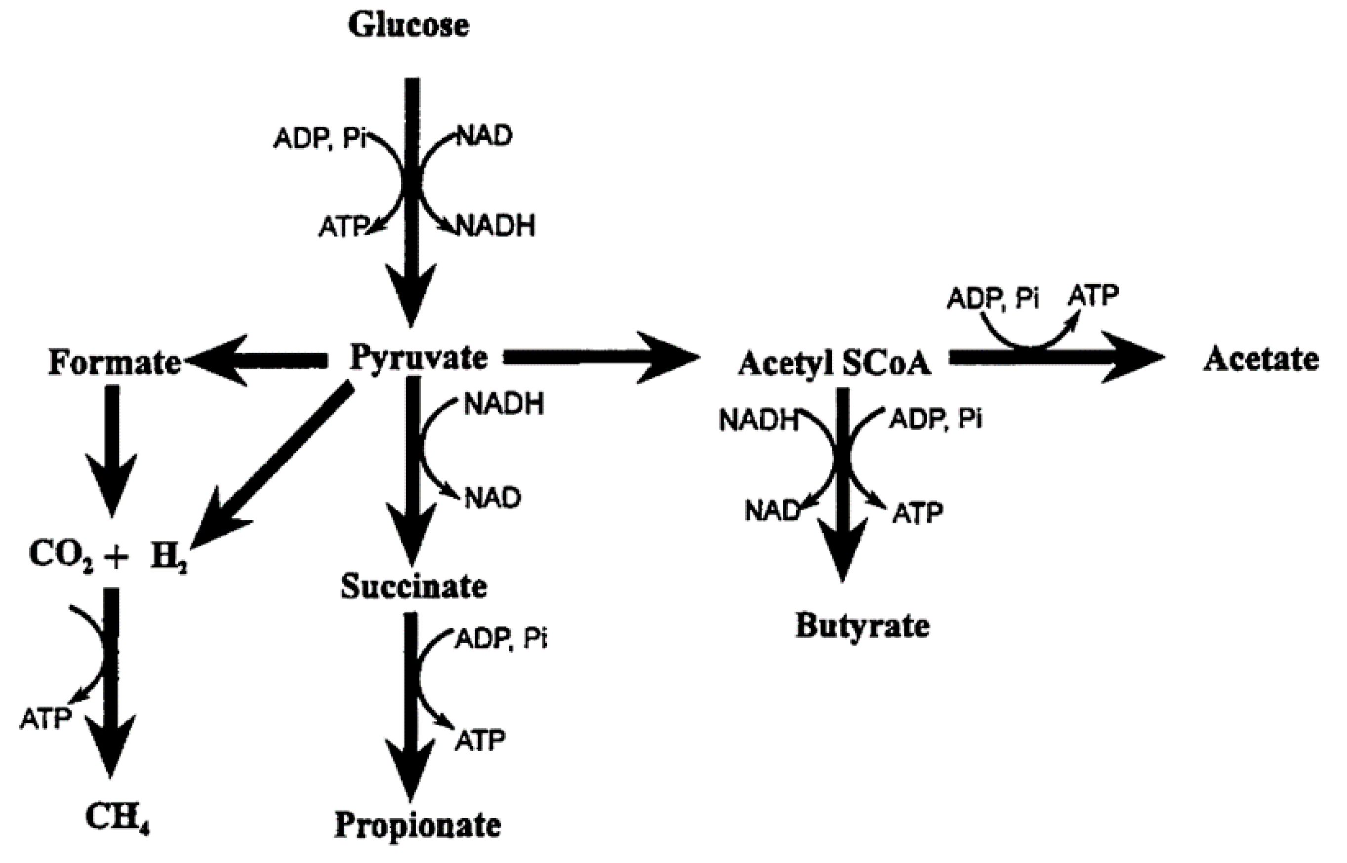 Animals 09 00542 g001