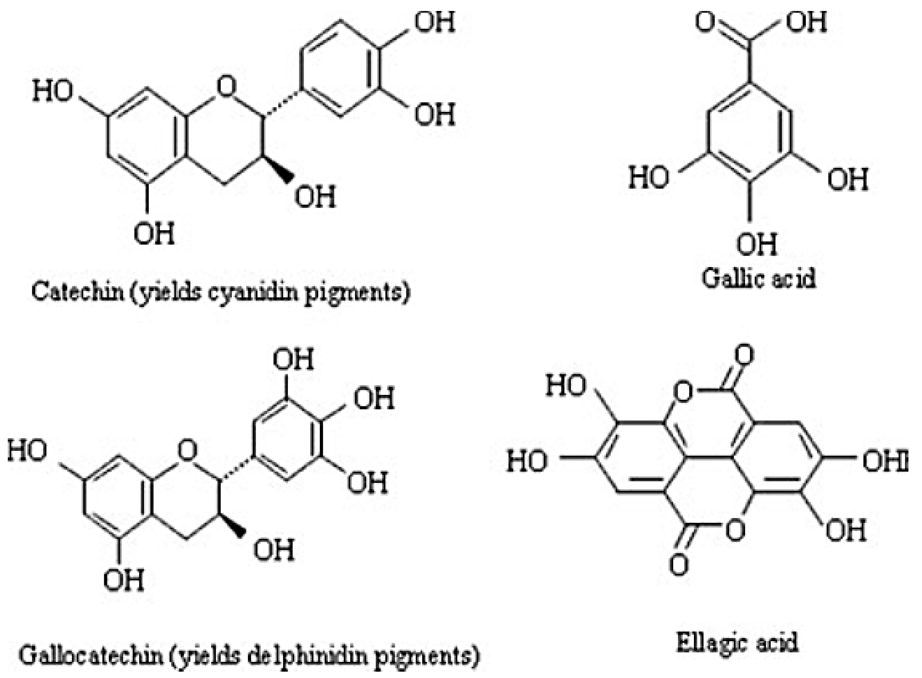 Animals 09 00542 g002