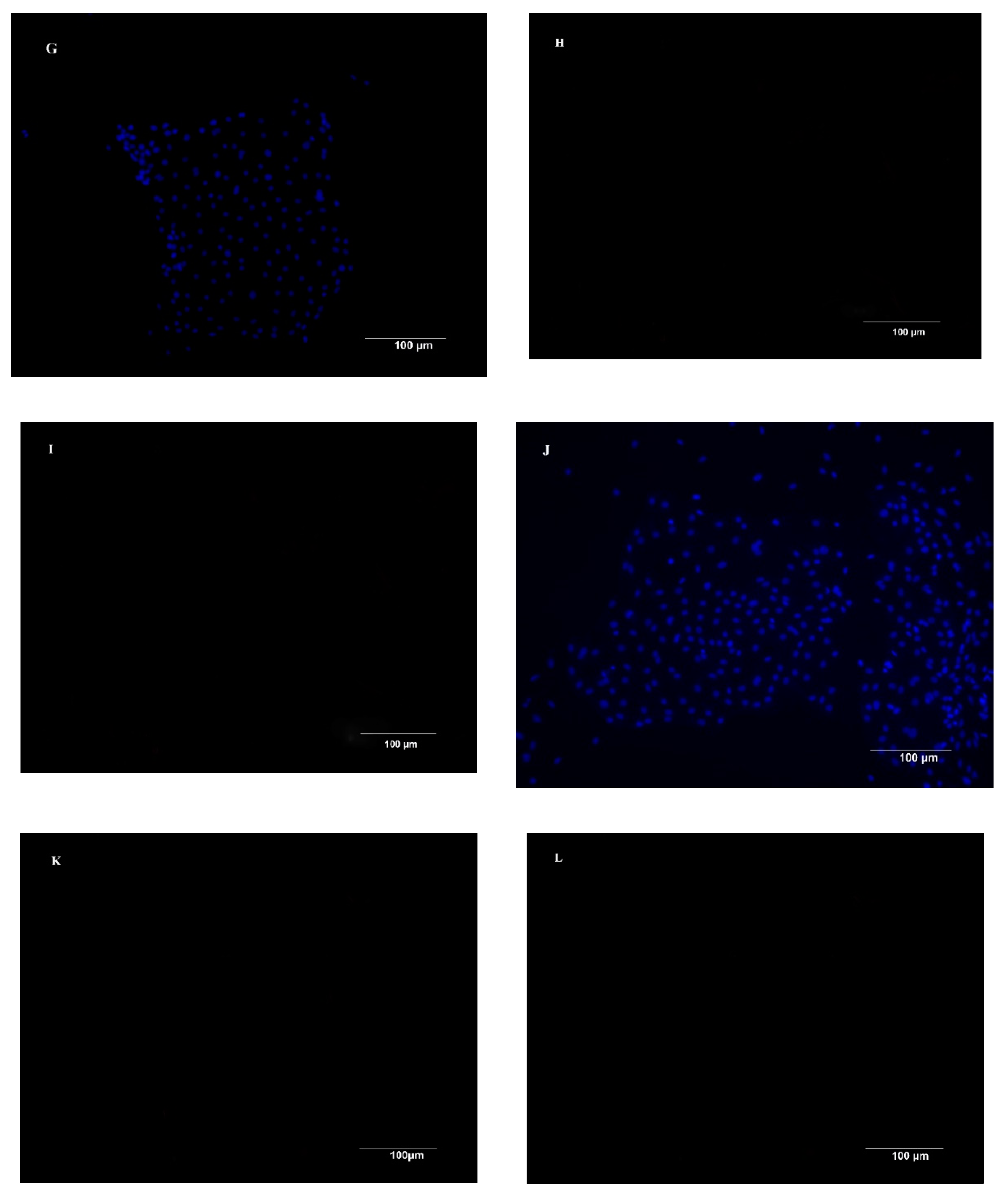 Animals 09 00559 g001b Animals 09 00559 g001b