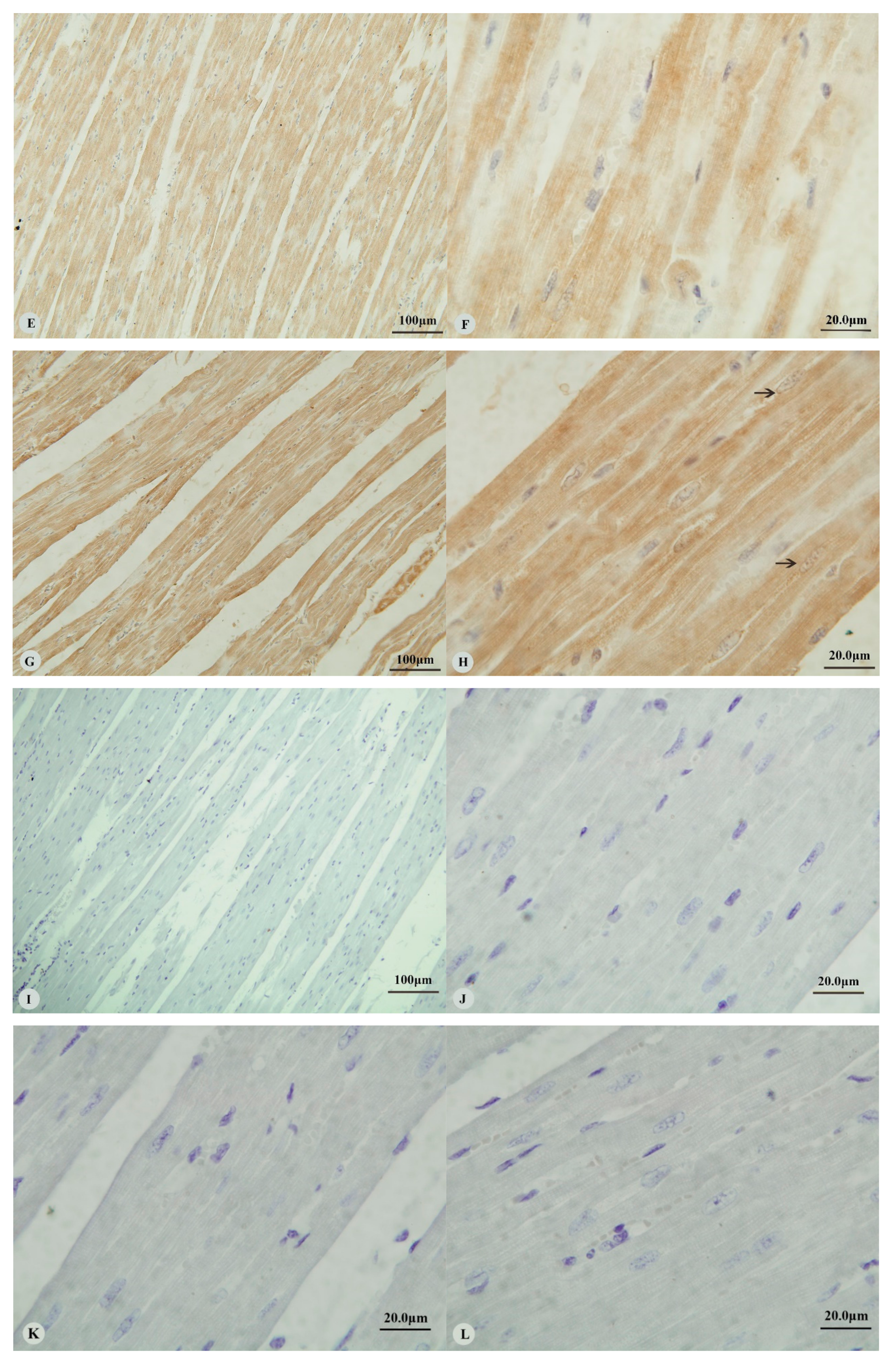 Animals 09 00673 g001b