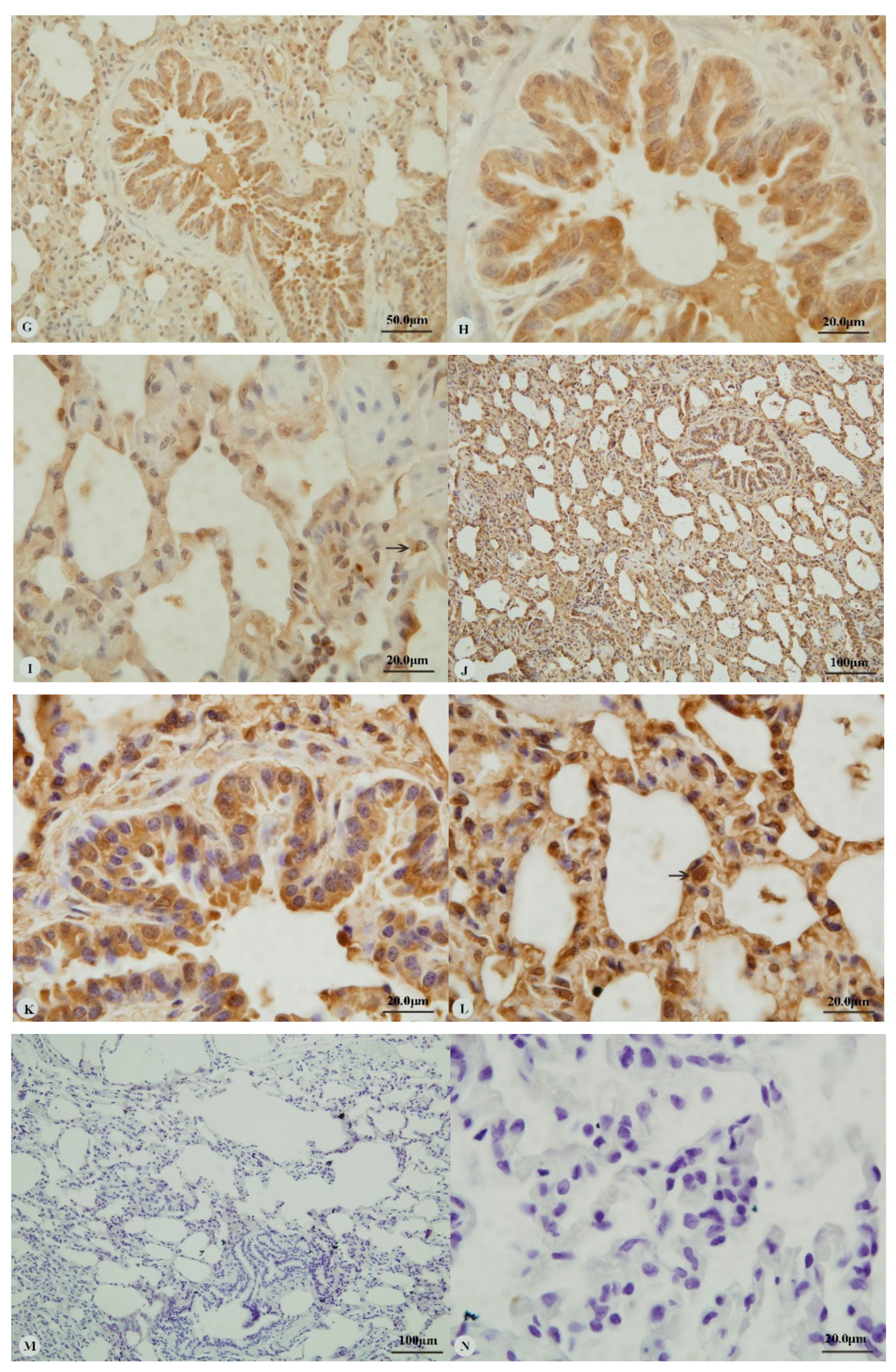 Animals 09 00673 g002b