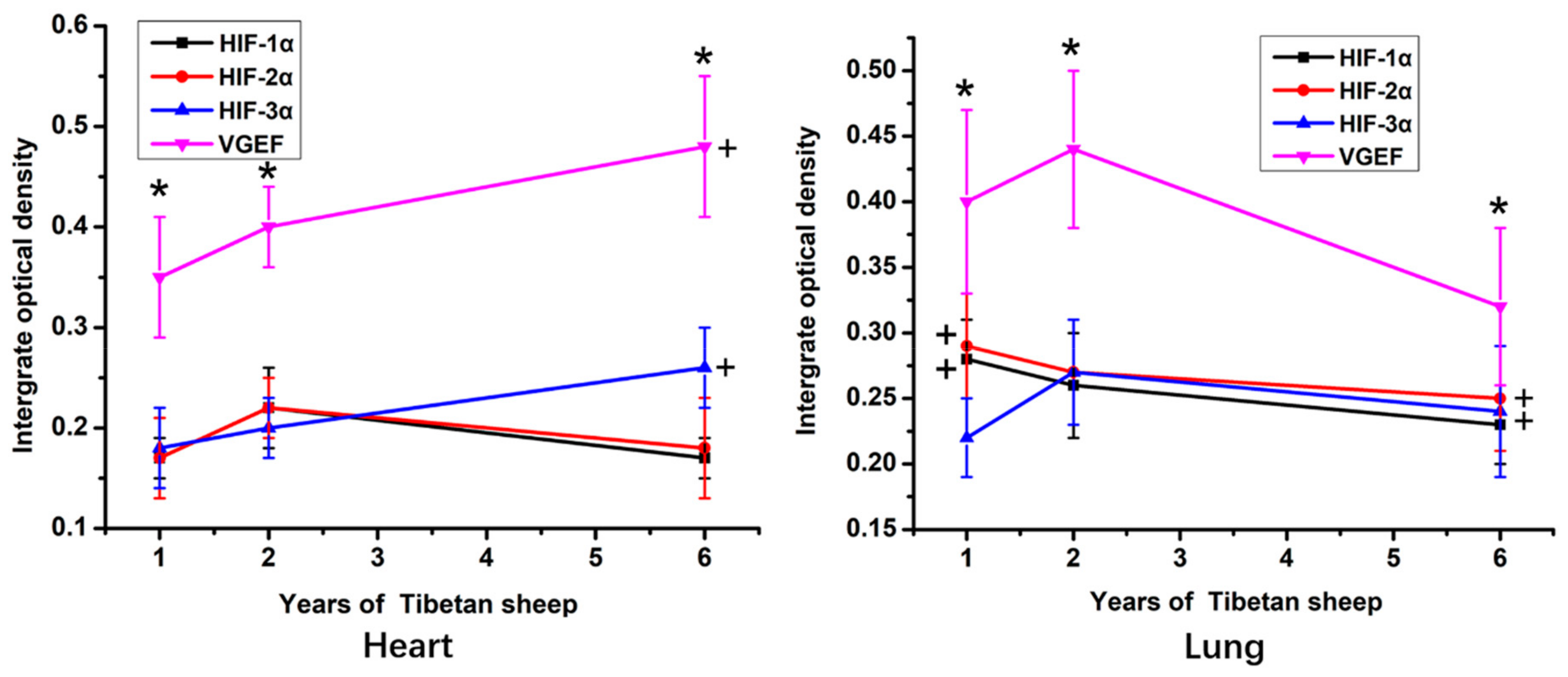 Animals 09 00673 g003