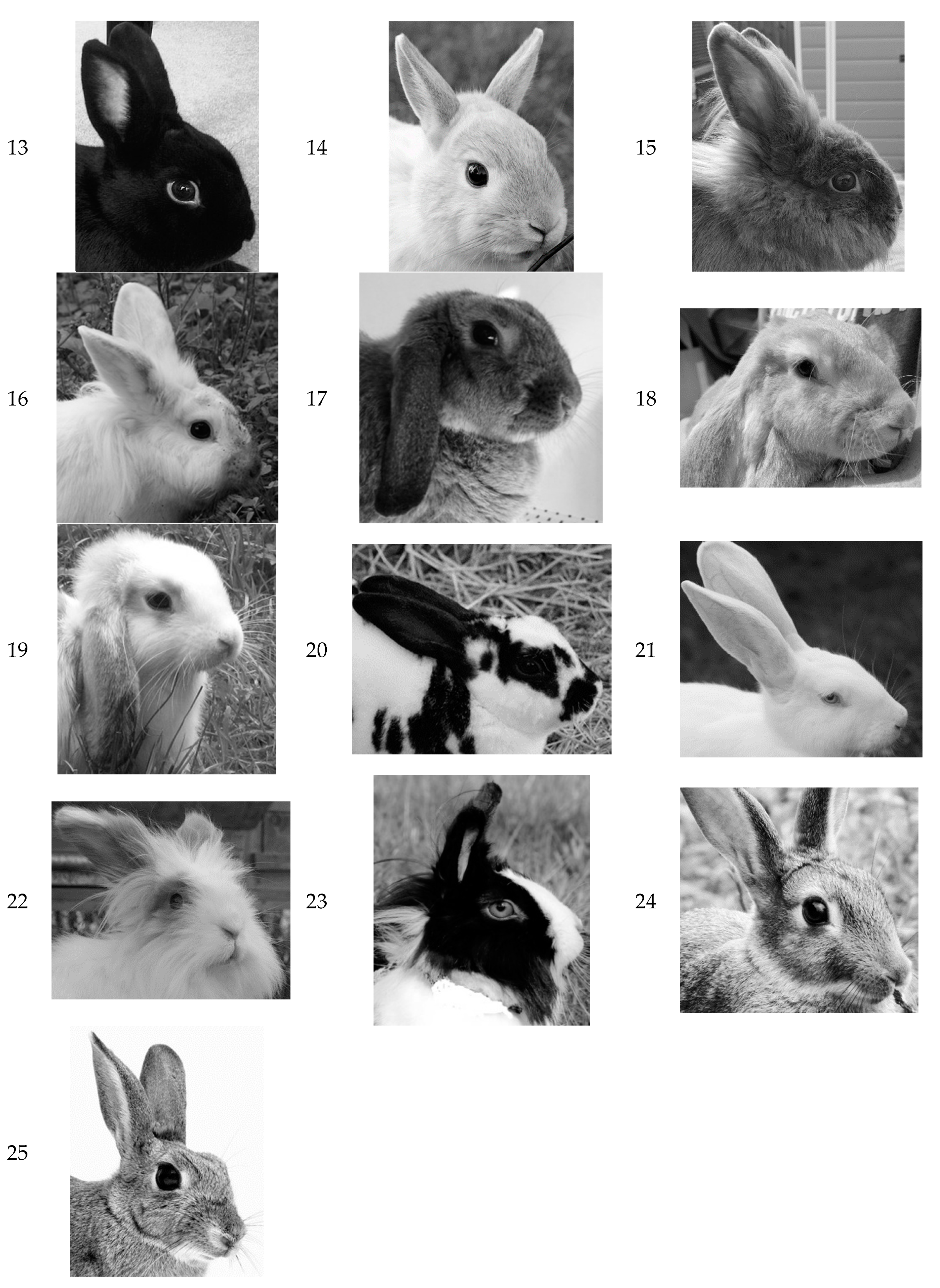 Animals 09 00728 g0a1b Animals 09 00728 g0a1b