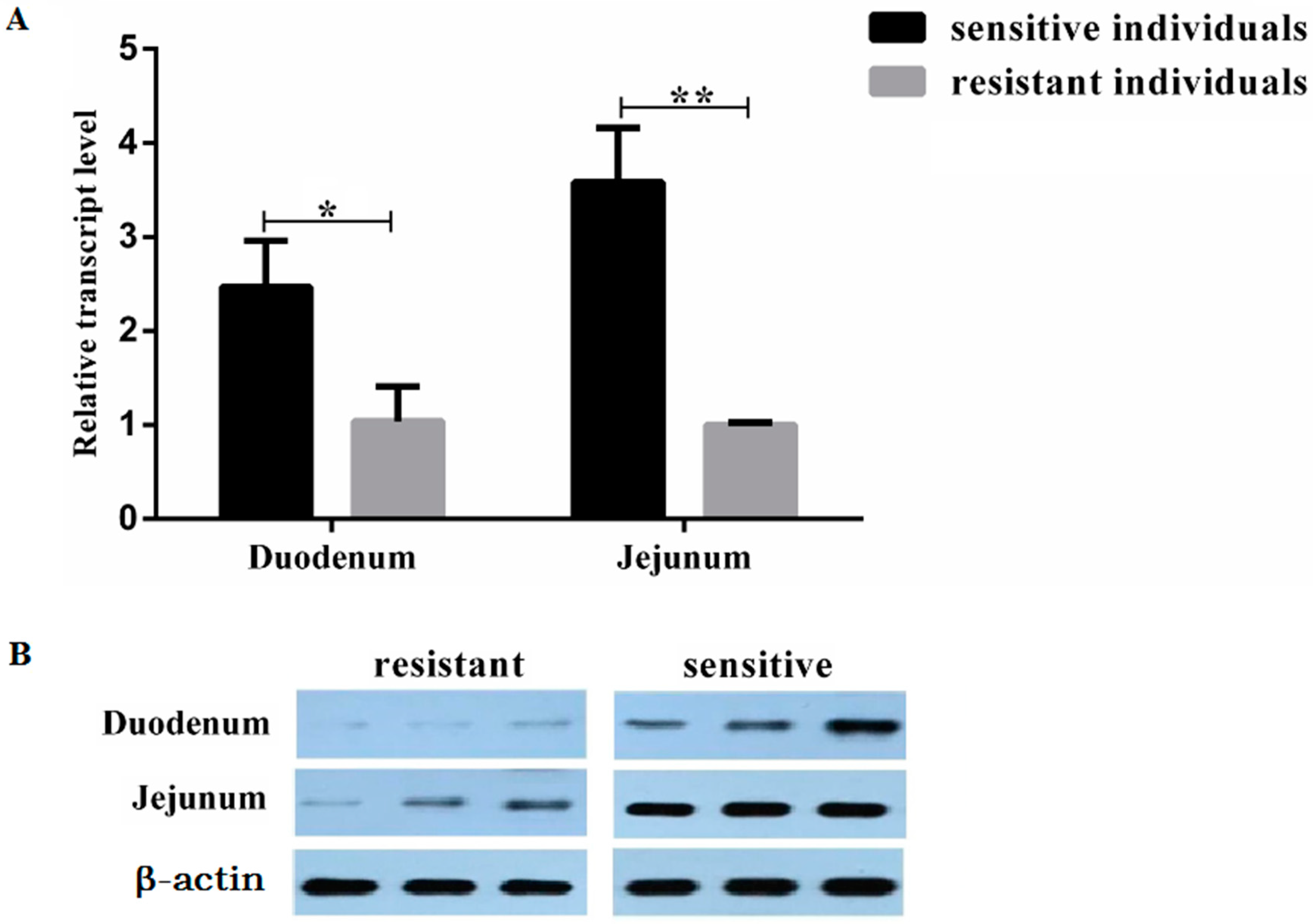 Animals 09 00735 g001