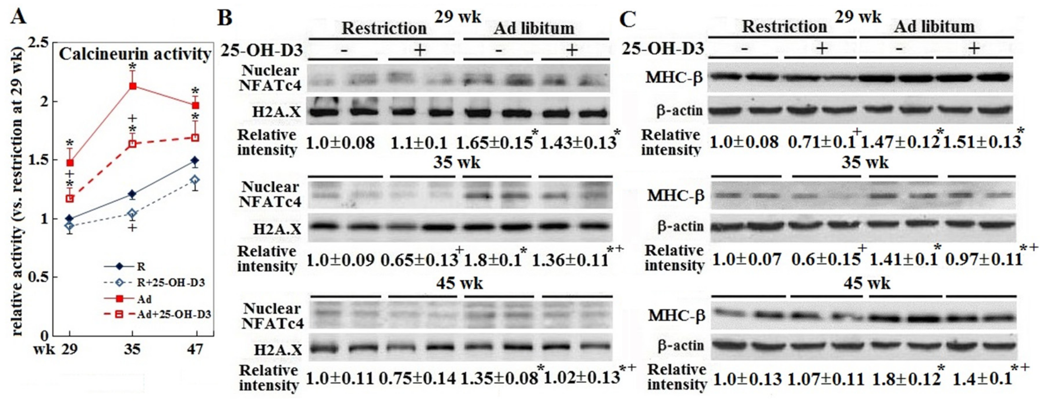 Animals 09 00770 g004