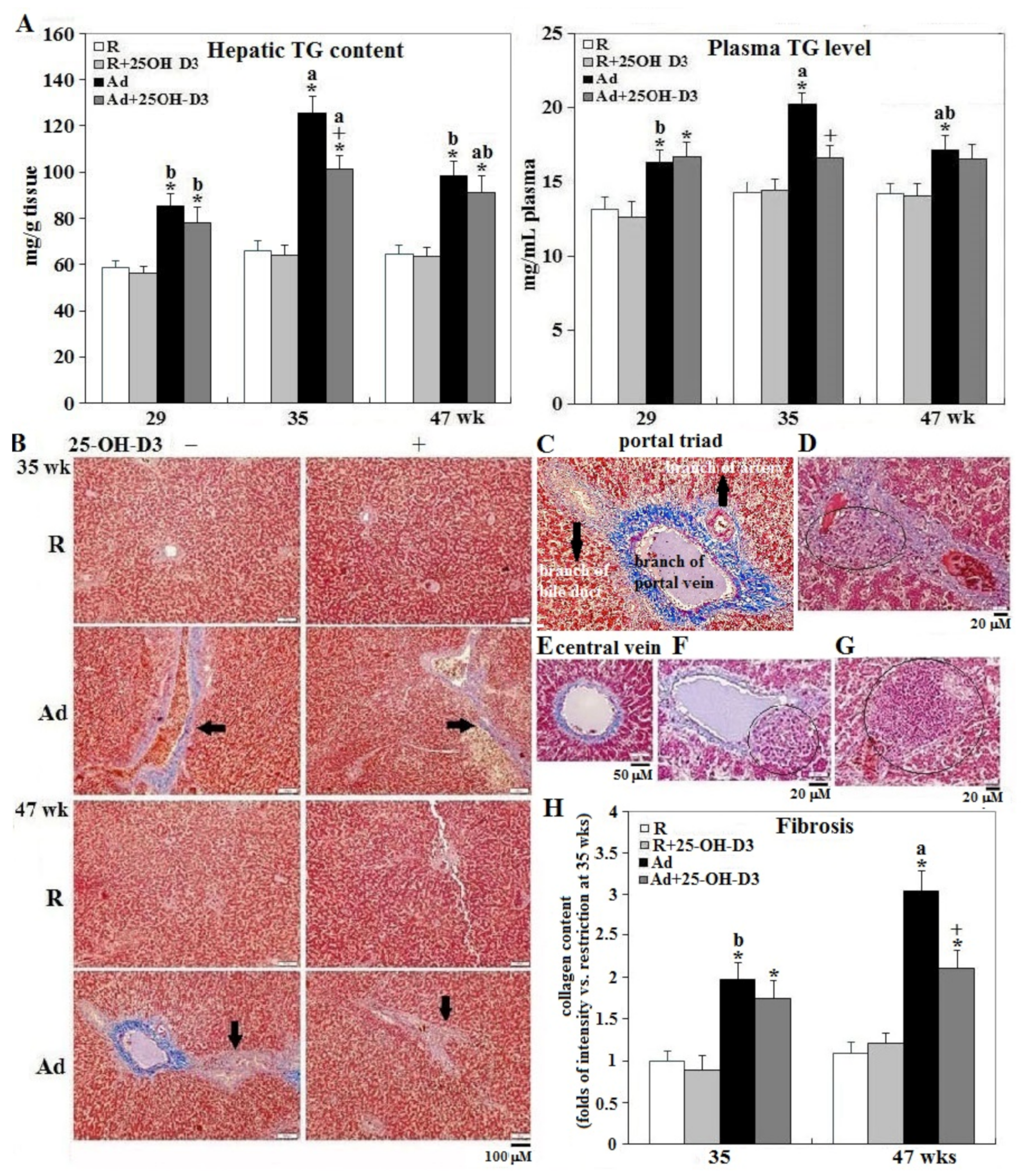 Animals 09 00770 g005