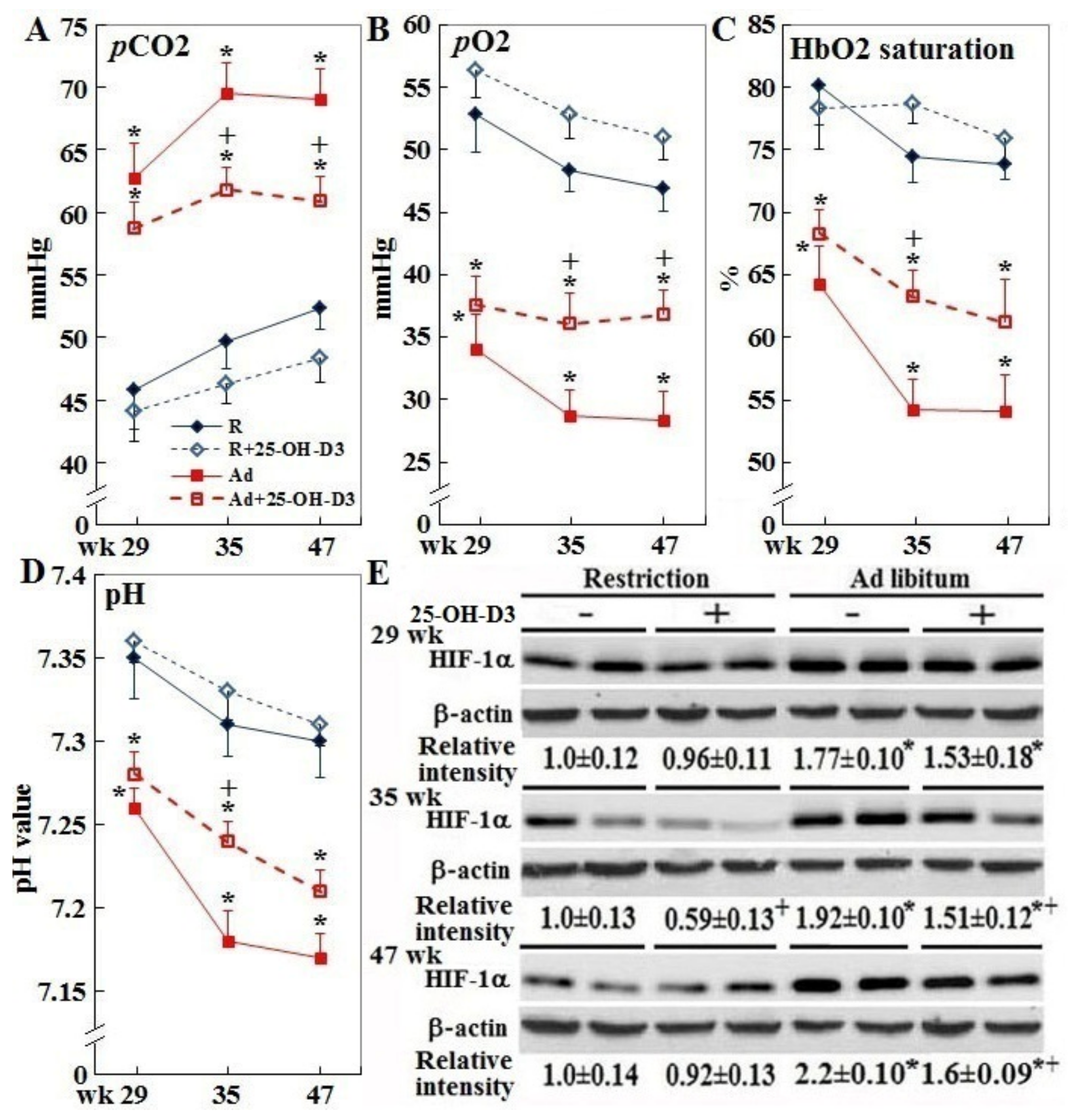 Animals 09 00770 g006