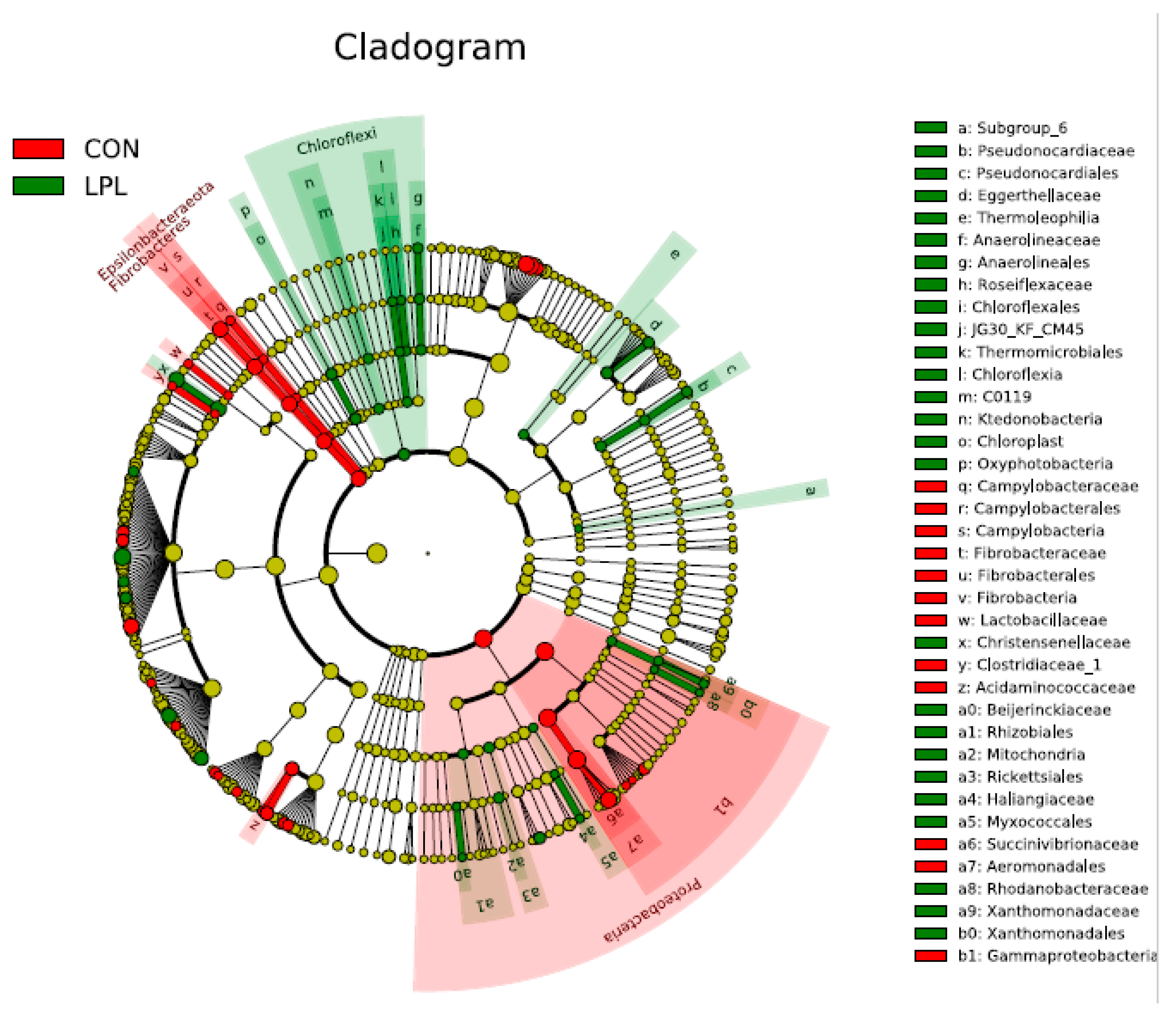 Animals 09 00805 g001