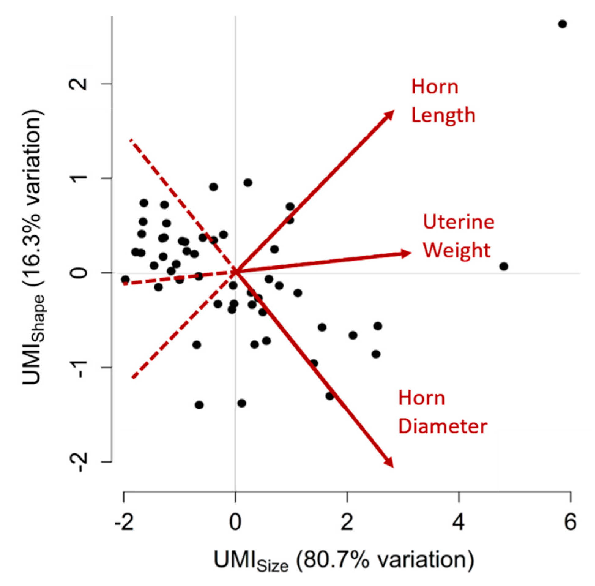 Animals 09 00811 g001