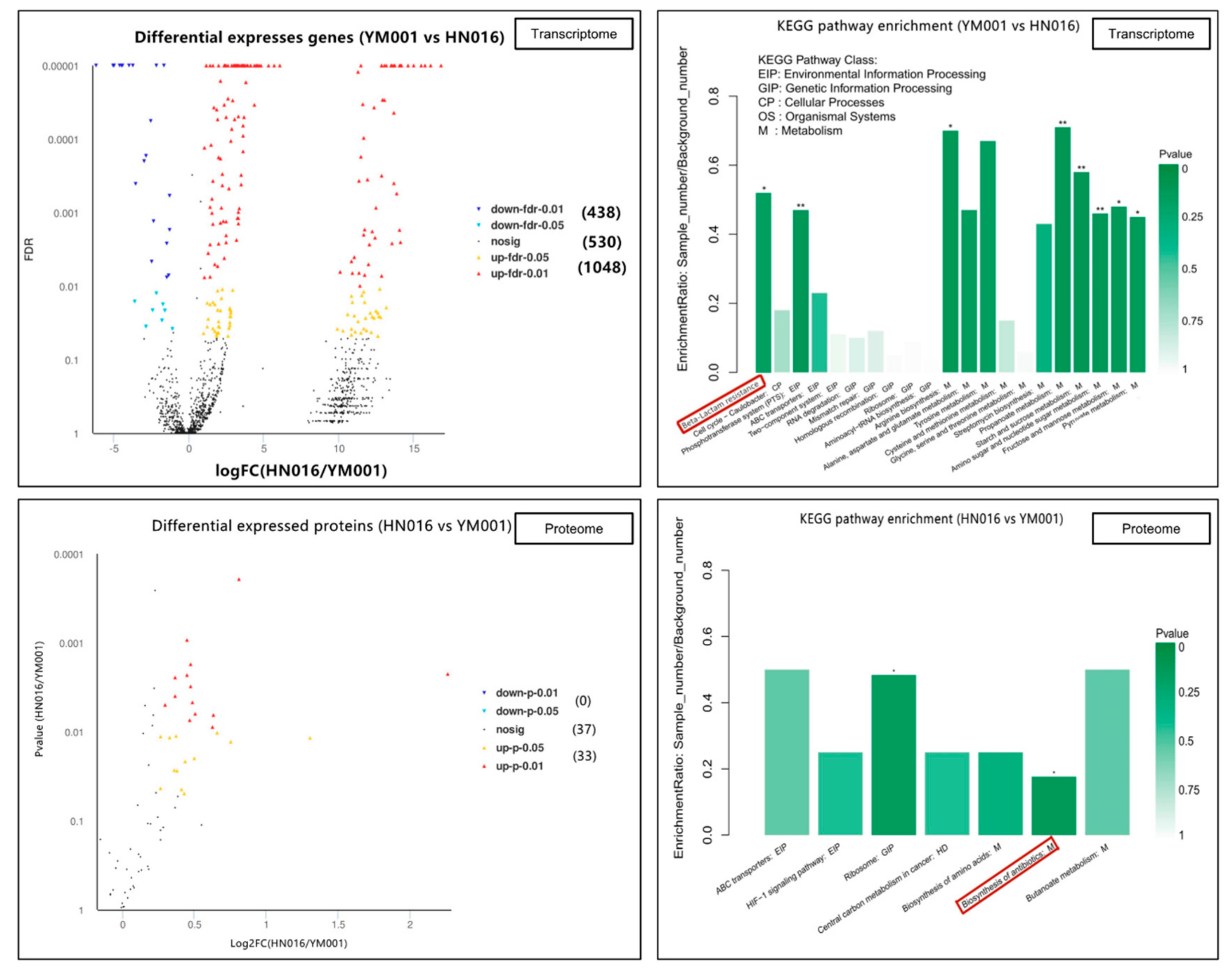 Animals 09 00818 g004