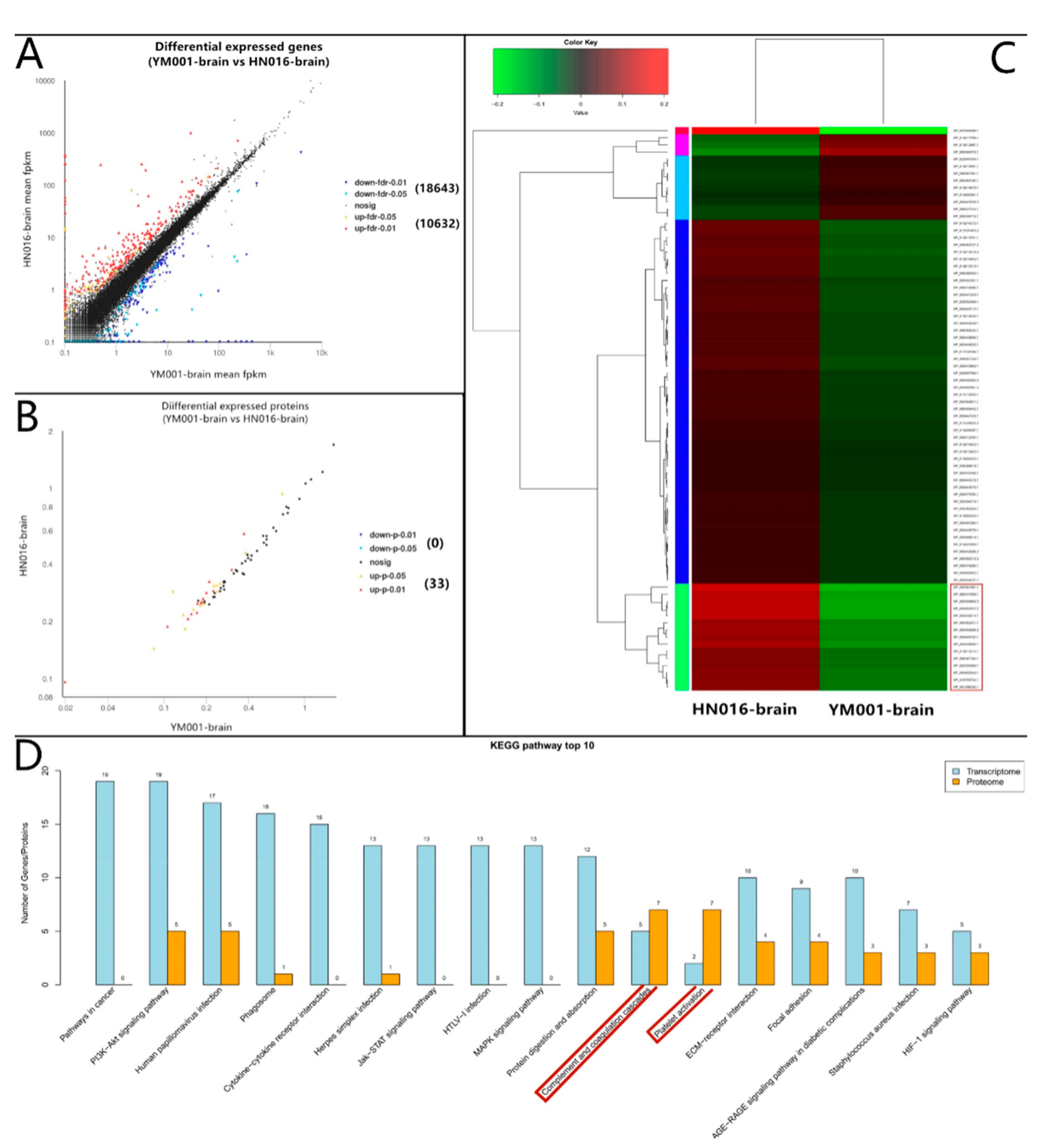 Animals 09 00818 g006