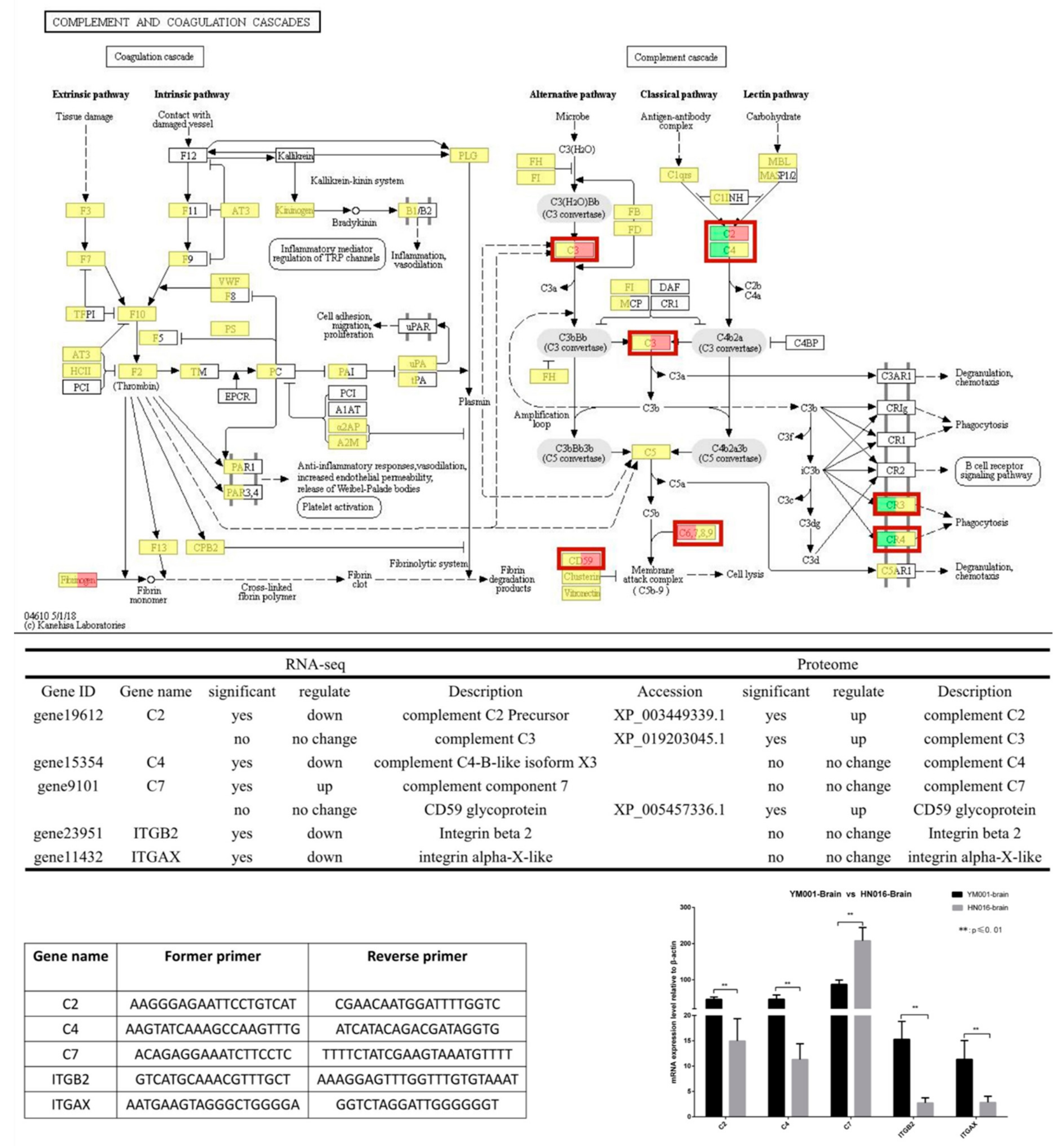 Animals 09 00818 g007