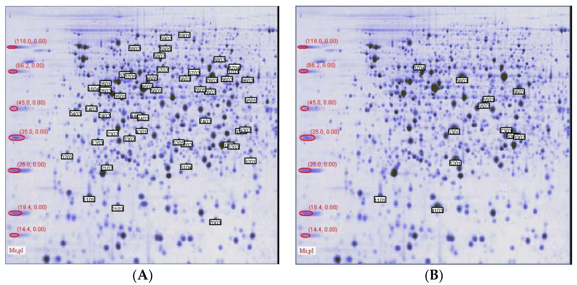 Animals 09 00850 g002