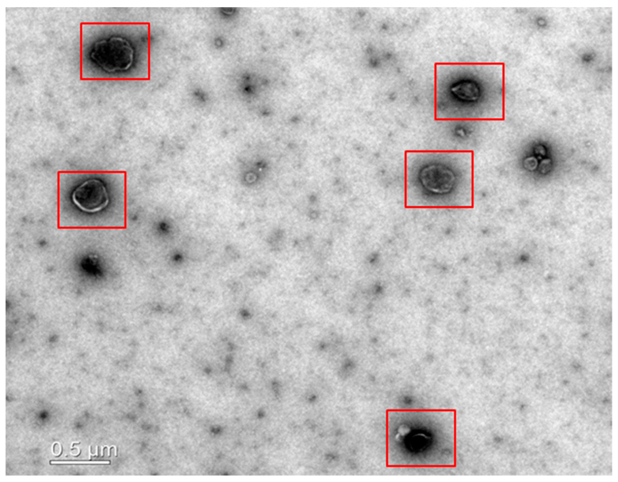 Animals 09 00865 g001