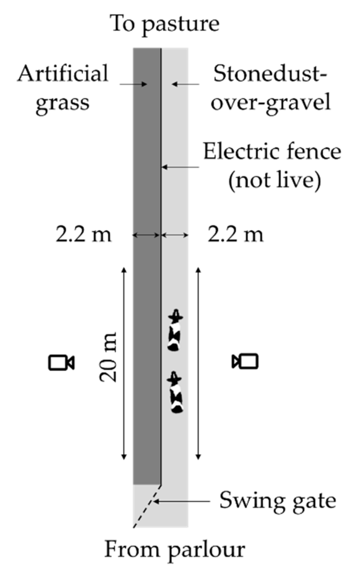 Animals 09 00891 g001